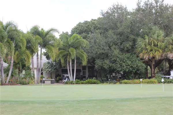 a view of a big yard