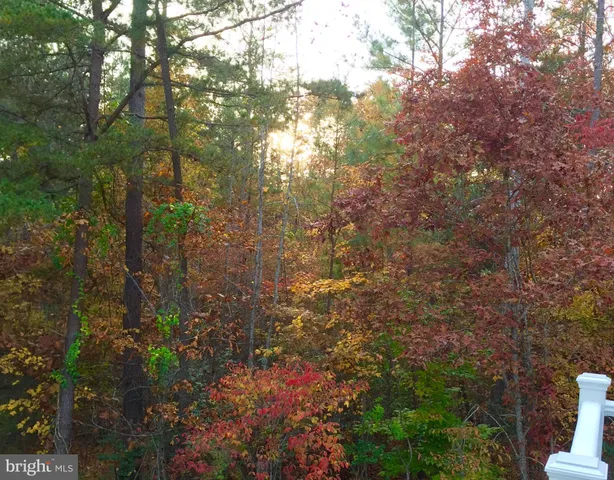 $748,500 | 53 Queen Laurens Court, Fredericksburg, VA 22406