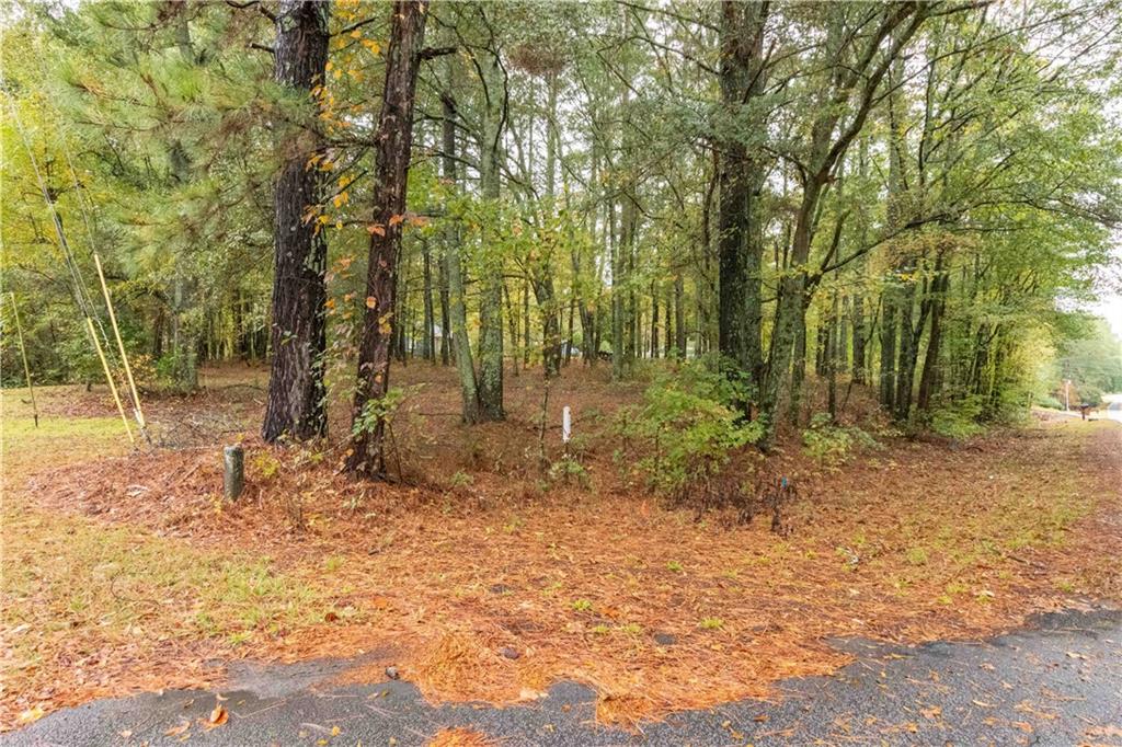 3058 Broadnax Mill Road Loganville, GA 30052 - Photo 36 of 38