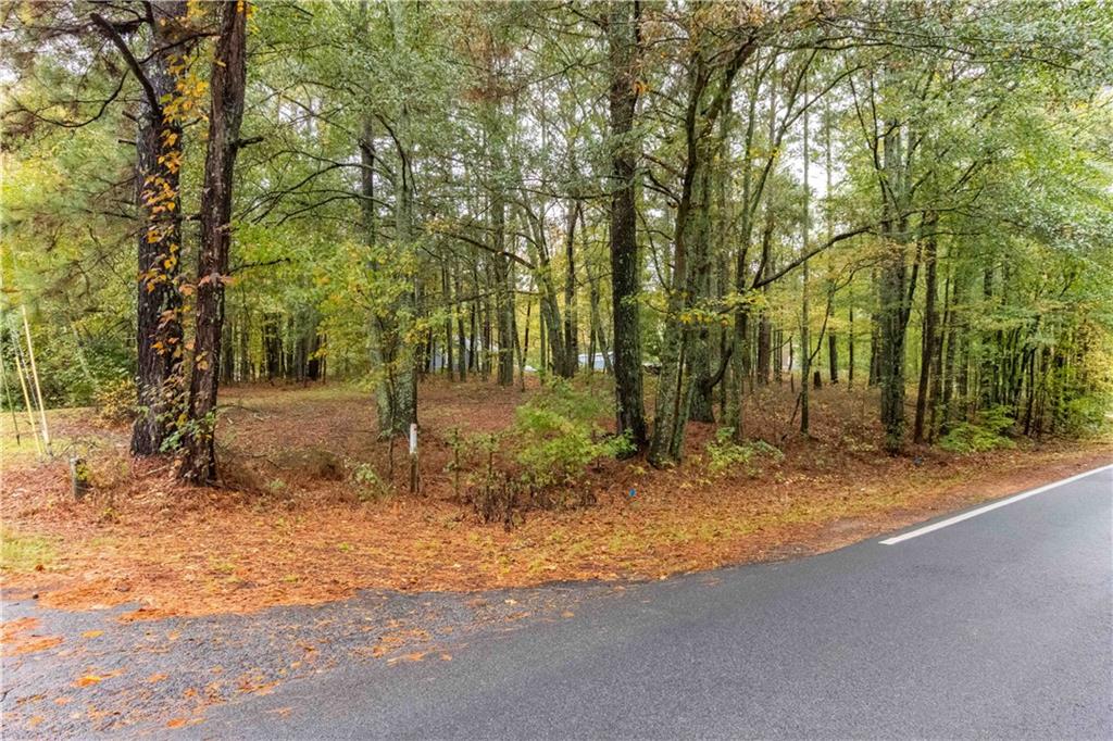 3058 Broadnax Mill Road Loganville, GA 30052 - Photo 38 of 38