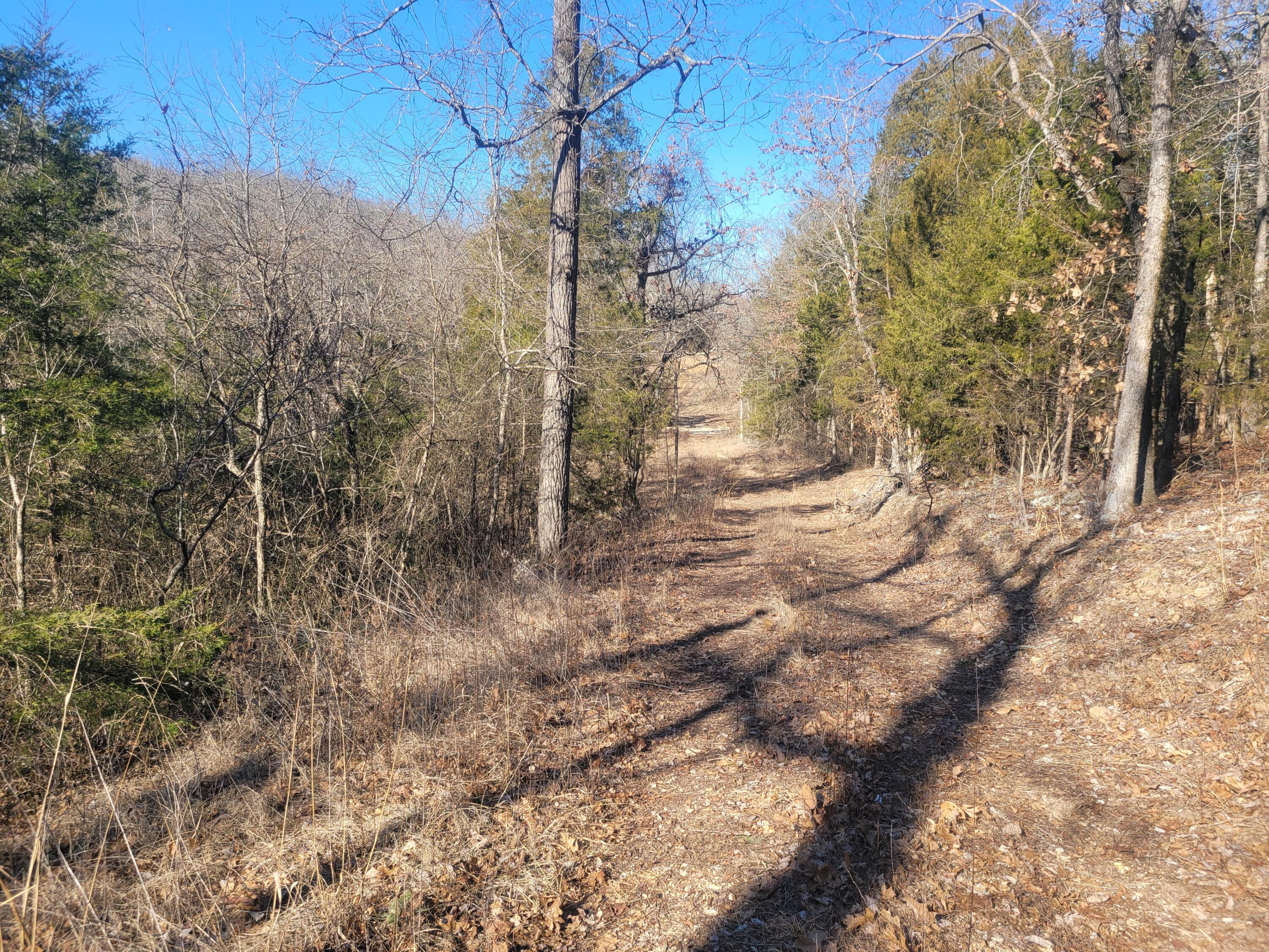 361 Hickory Flats Road Ava, MO 65608 - Photo 13 of 47 20250123_104055
