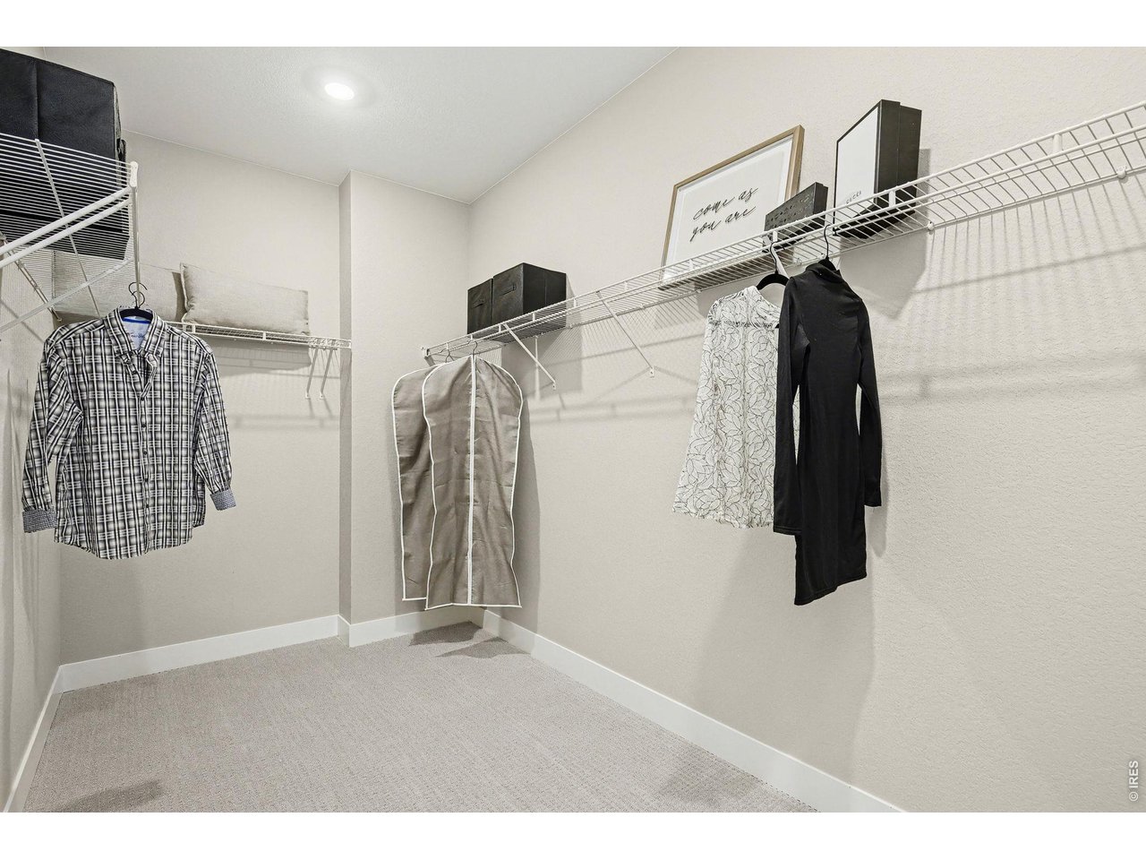 376 Rustic Barn Lane Berthoud, CO 80513 - Photo 23 of 39 Primary walk-in - Model Home