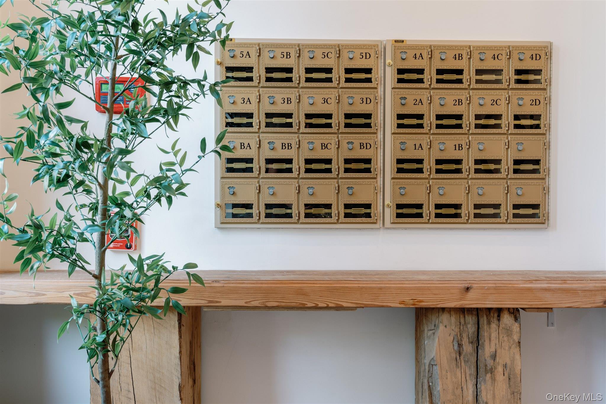 155 River Street, Unit BASEMENT C Troy, NY 12180 - Photo 3 of 22