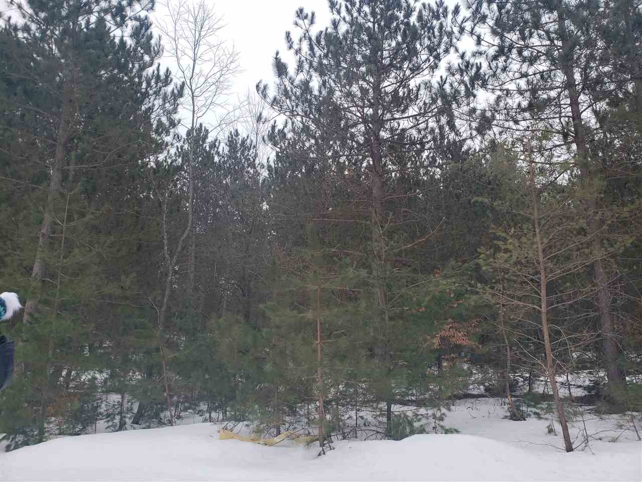 2832 Walton Road Kingsley, MI 49649 - Photo 14 of 14 1873132-13.JPG