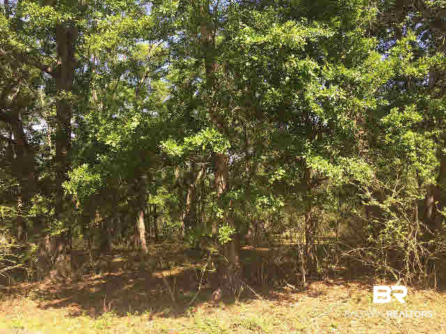20897 Oak Ridge Drive Robertsdale, AL 36567 - Photo 1 of 2