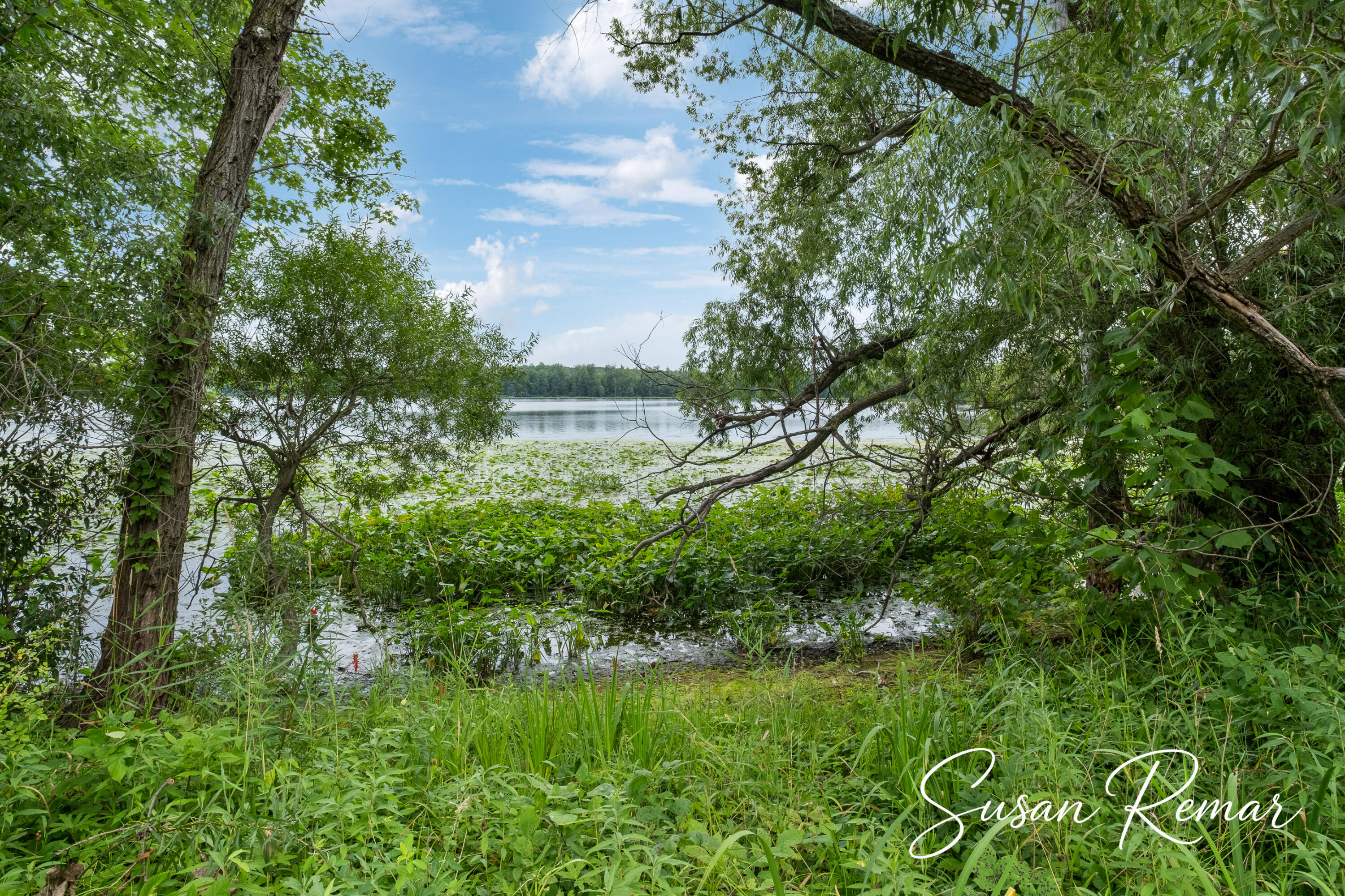 Thornapple Lake Road Nashville, MI 49073 - Photo 4 of 24 Photo-3