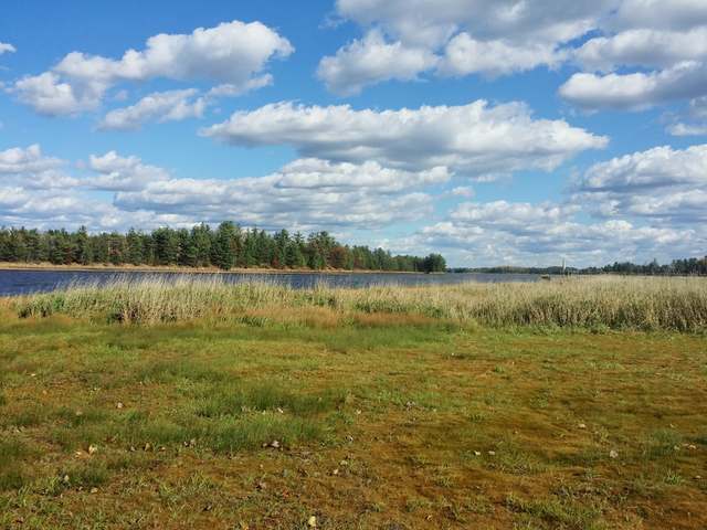 N9042 Millie Road Tomahawk, WI 54487 - Photo 5 of 20 Gallery Image 5