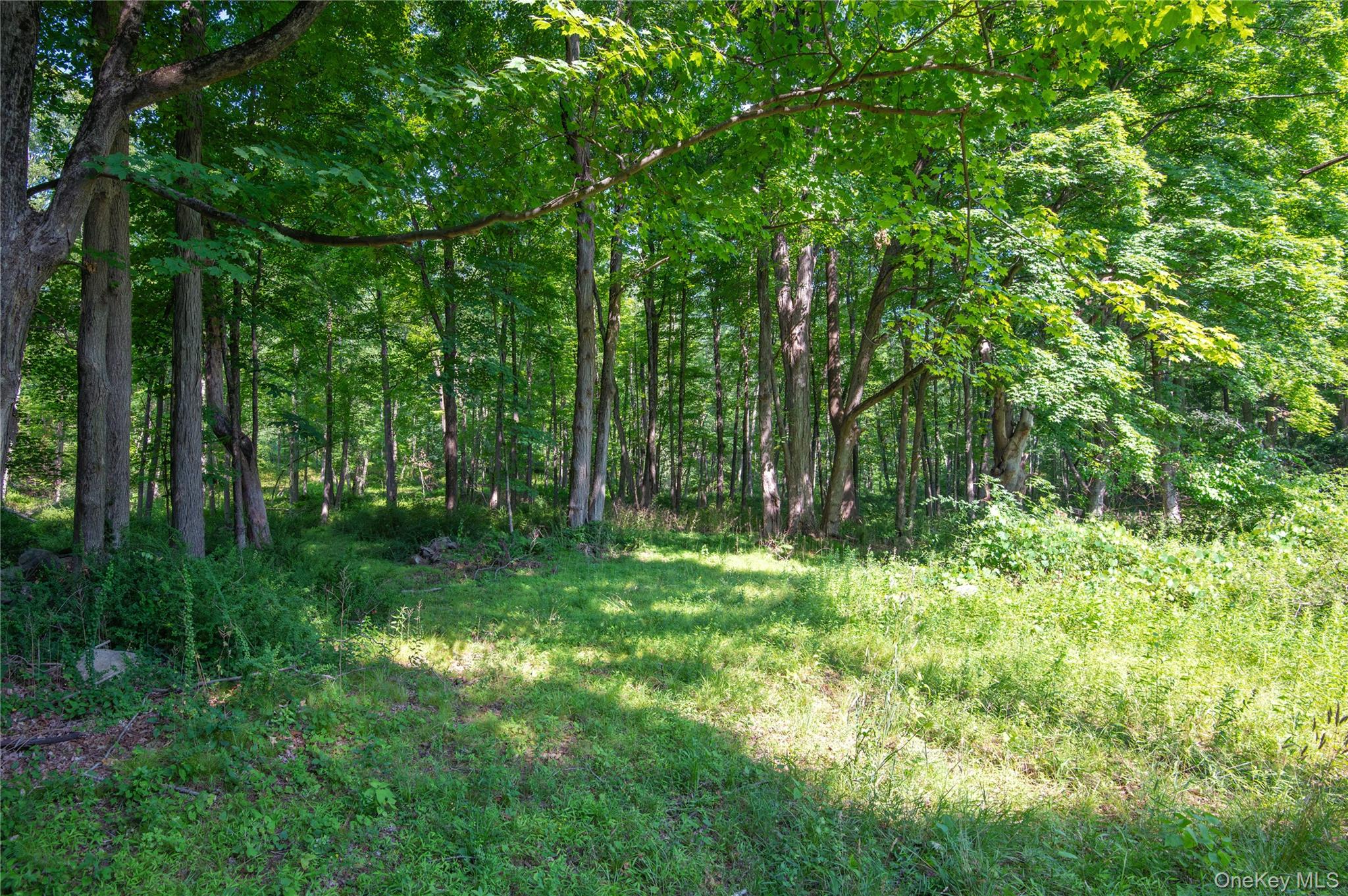 139 Smith Ridge Road South Salem, NY 10590 - Photo 37 of 44 Gallery Image 37