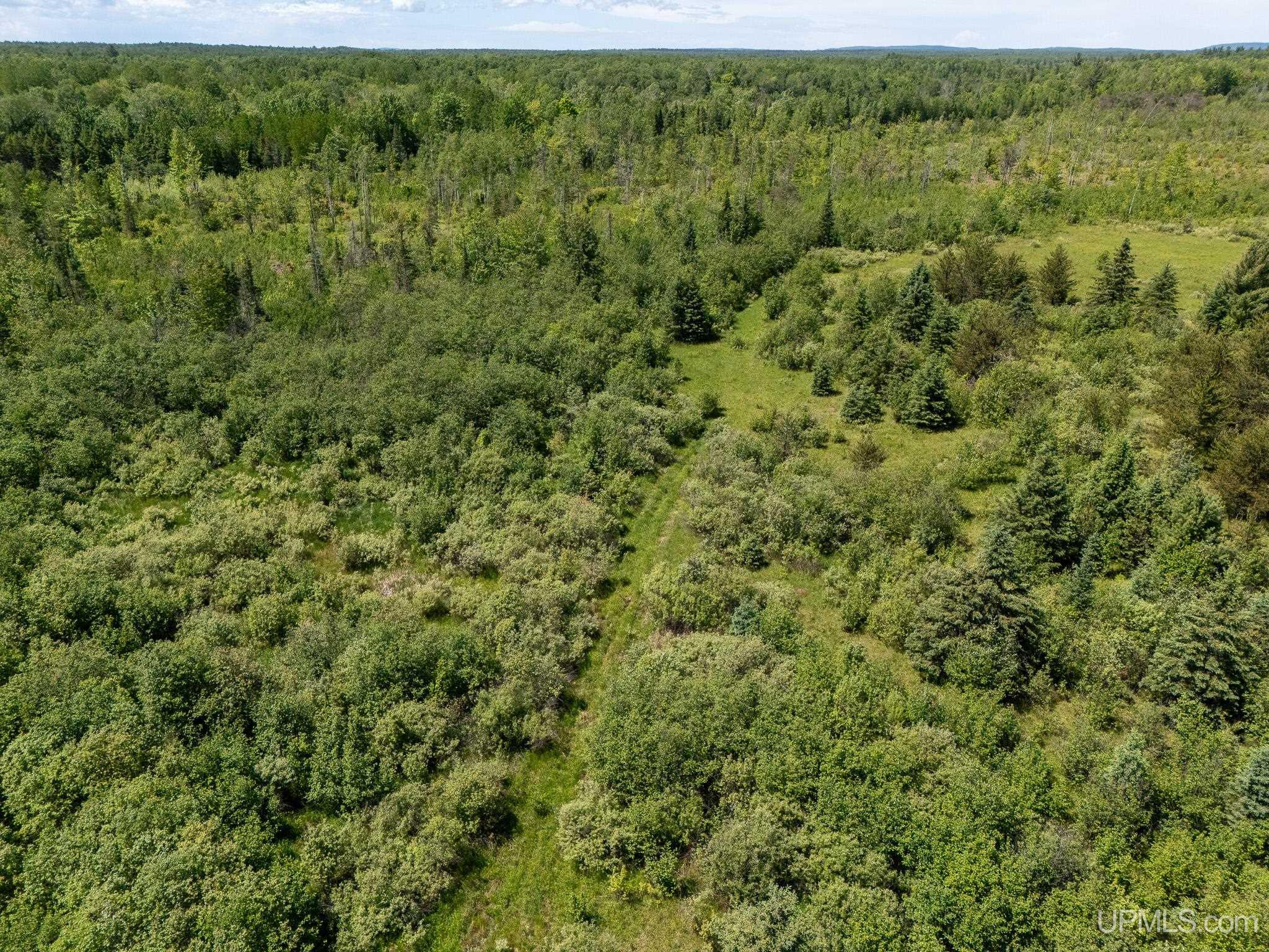 15772 St Collins Road Bruce Crossing, MI 49912 - Photo 20 of 36