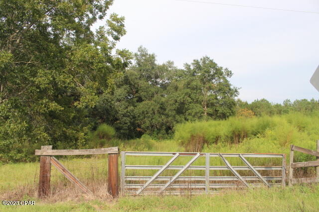 5506 Friendship Church Road Malone, FL 32445 - Photo 55 of 67