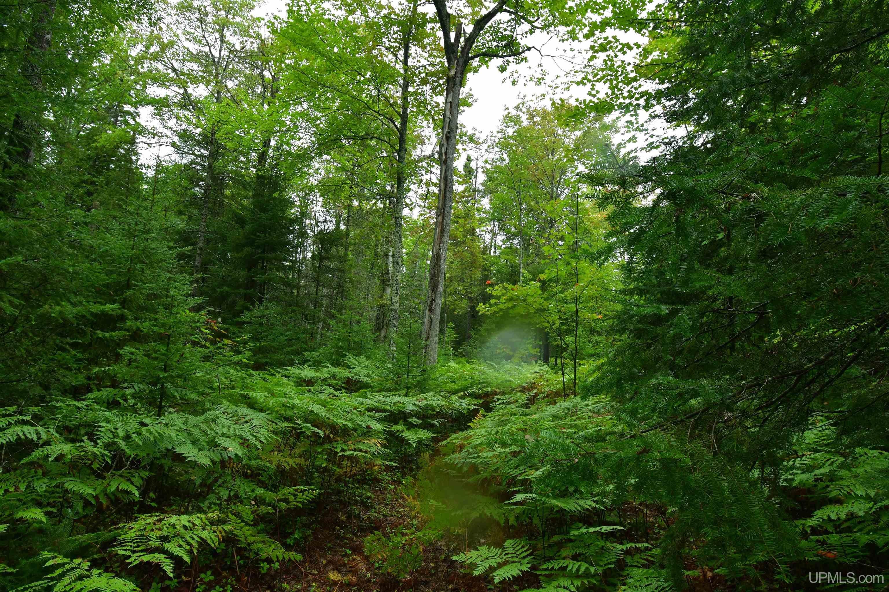 23 East 23 Mile Road Pickford, MI 49774 - Photo 55 of 58 Gallery Image 55