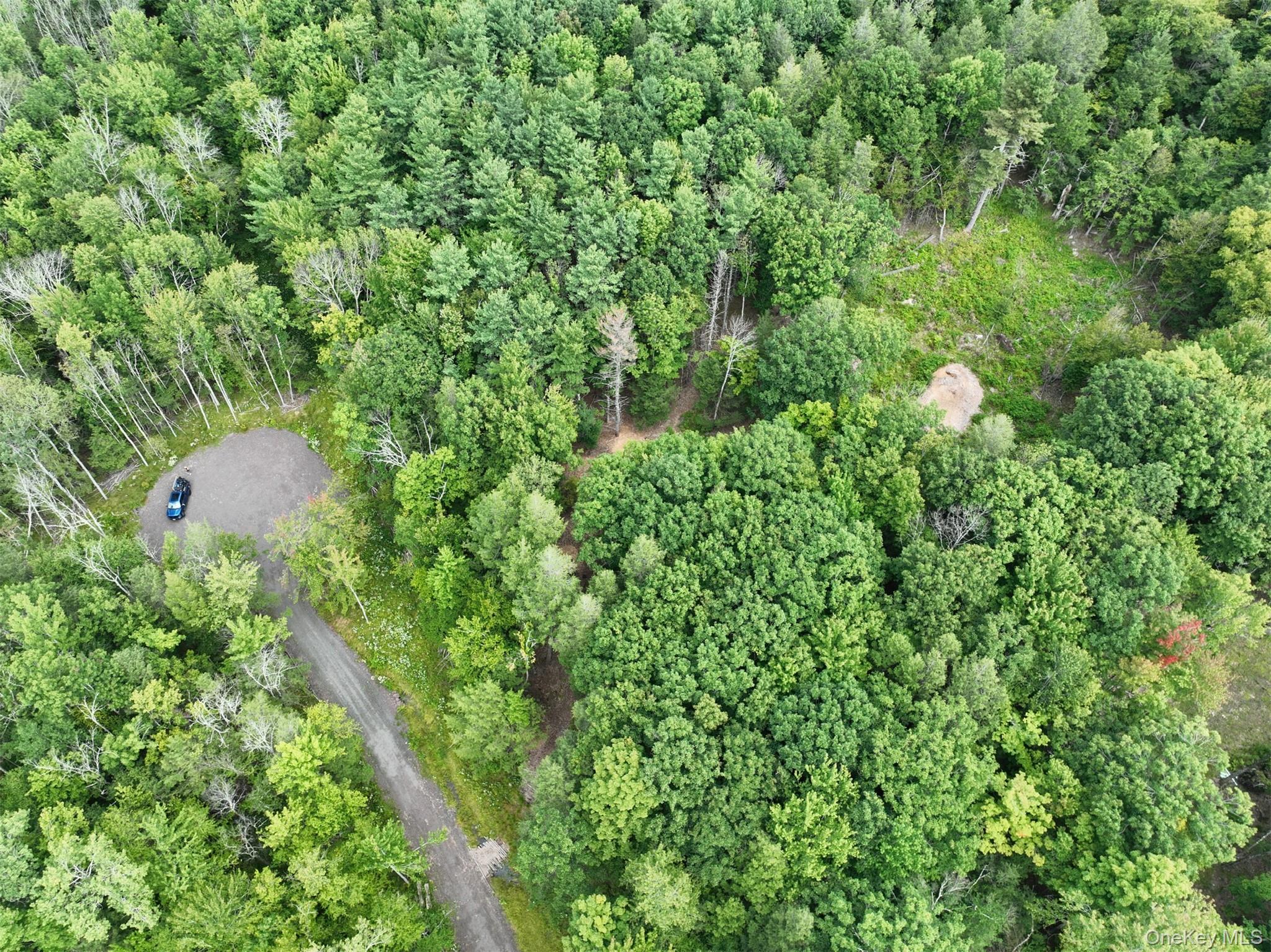 Tbd Boulder Brook Road Windham, NY 12496 - Photo 40 of 46 Gallery Image 40
