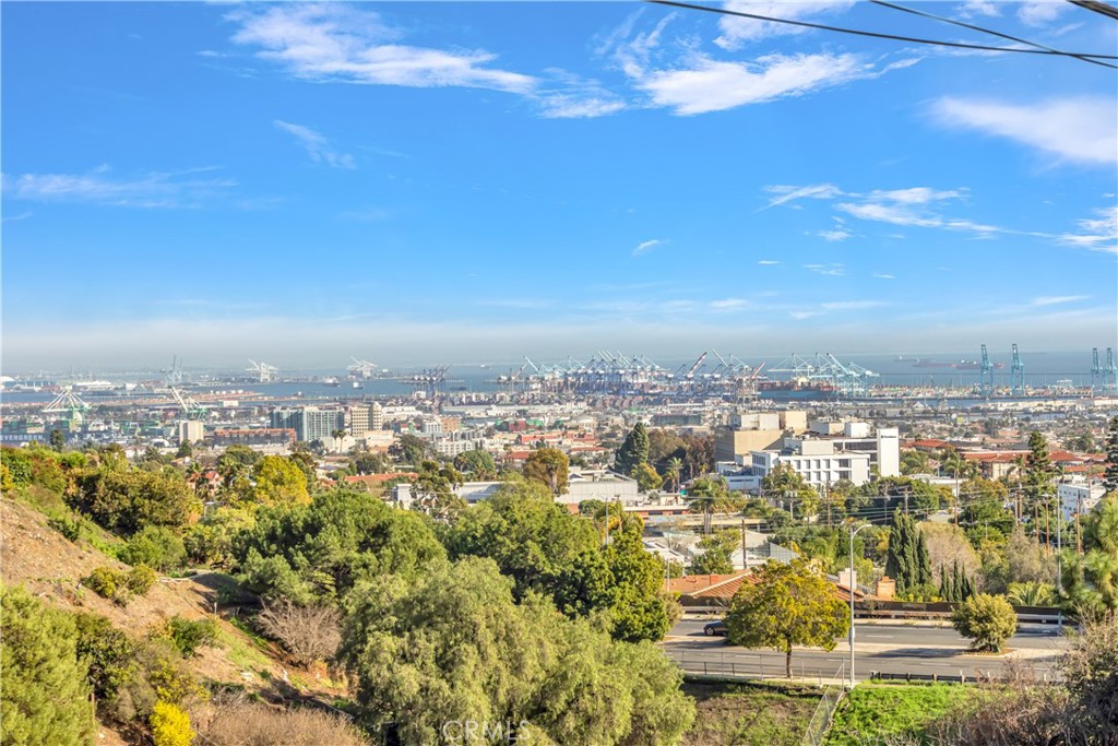 1724 El Rey Road San Pedro, CA 90732 - Photo 43 of 51