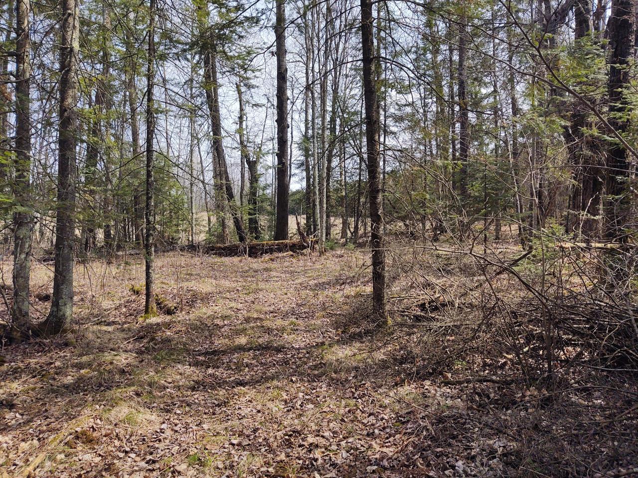 77918 Bear Lake Road Butternut, WI 54514 - Photo 29 of 41 Gallery Image 29