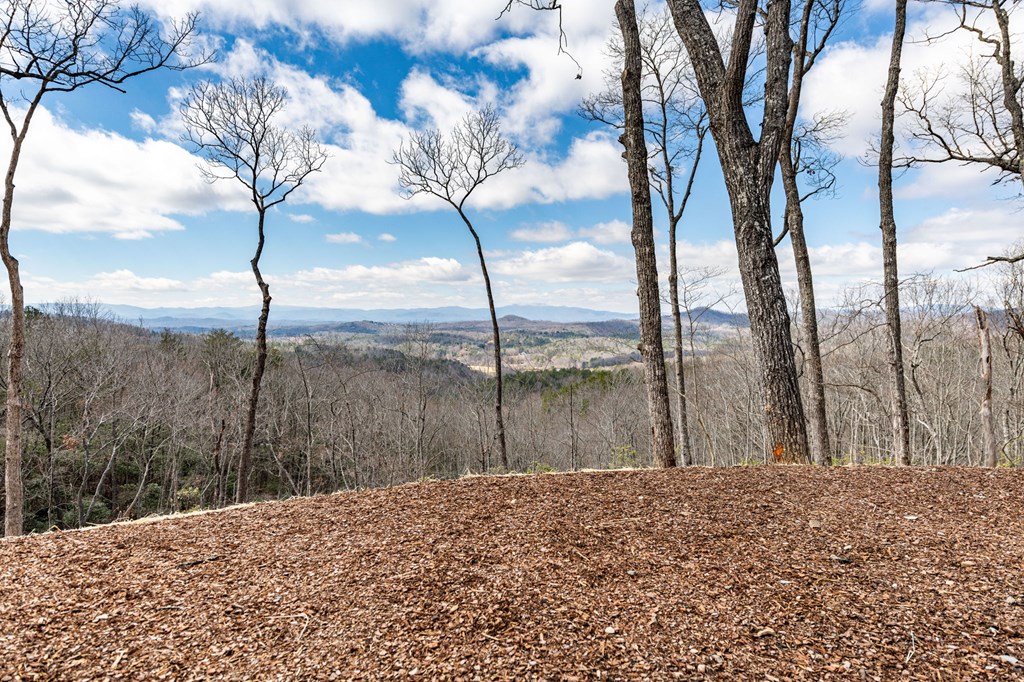 899 Dana Road Mineral Bluff, GA 30559 - Photo 87 of 91 Gallery Image 87