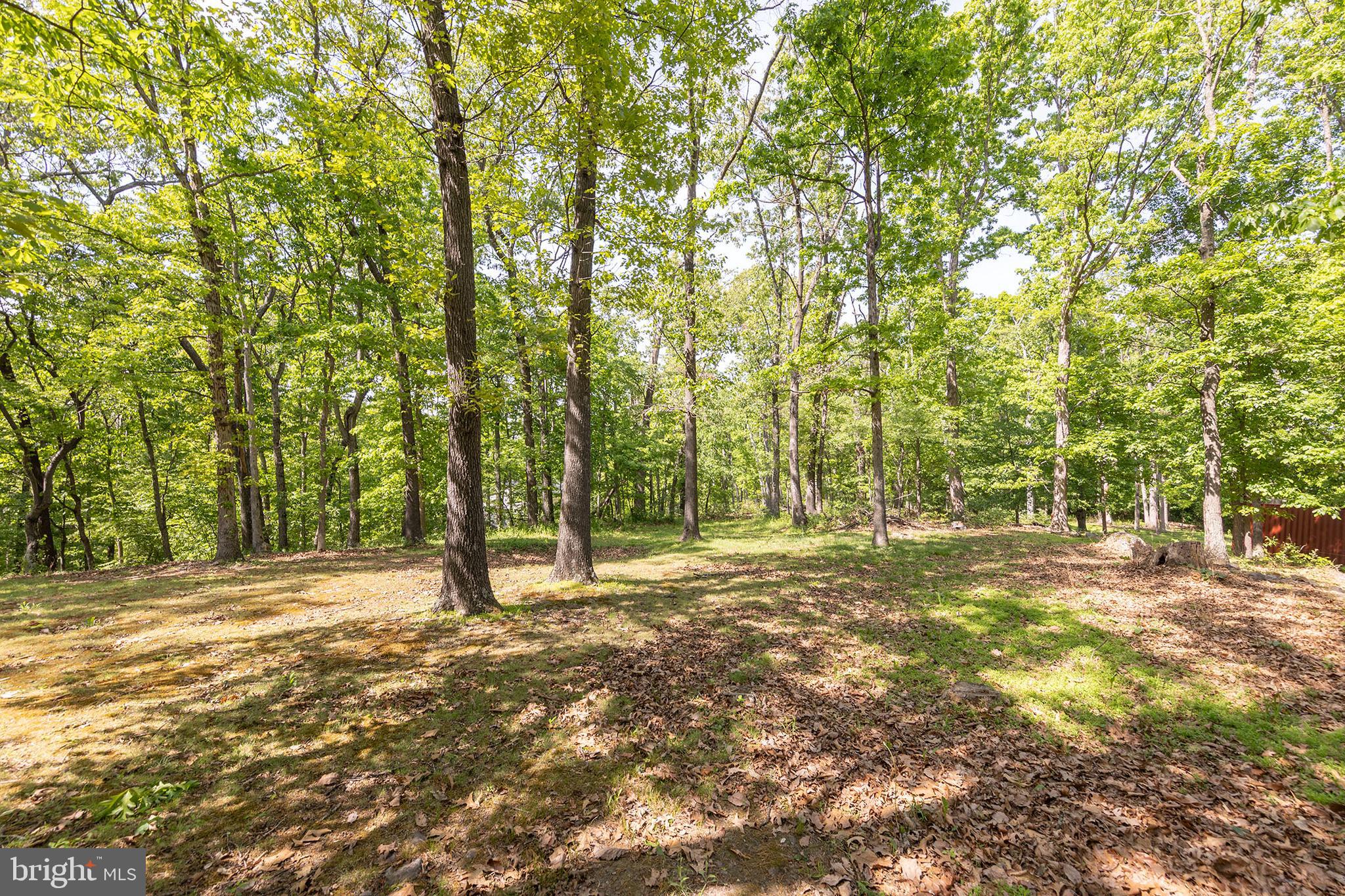 430 Babbs Mountain Road Winchester, VA 22603 - Photo 2 of 42 2.68 acres