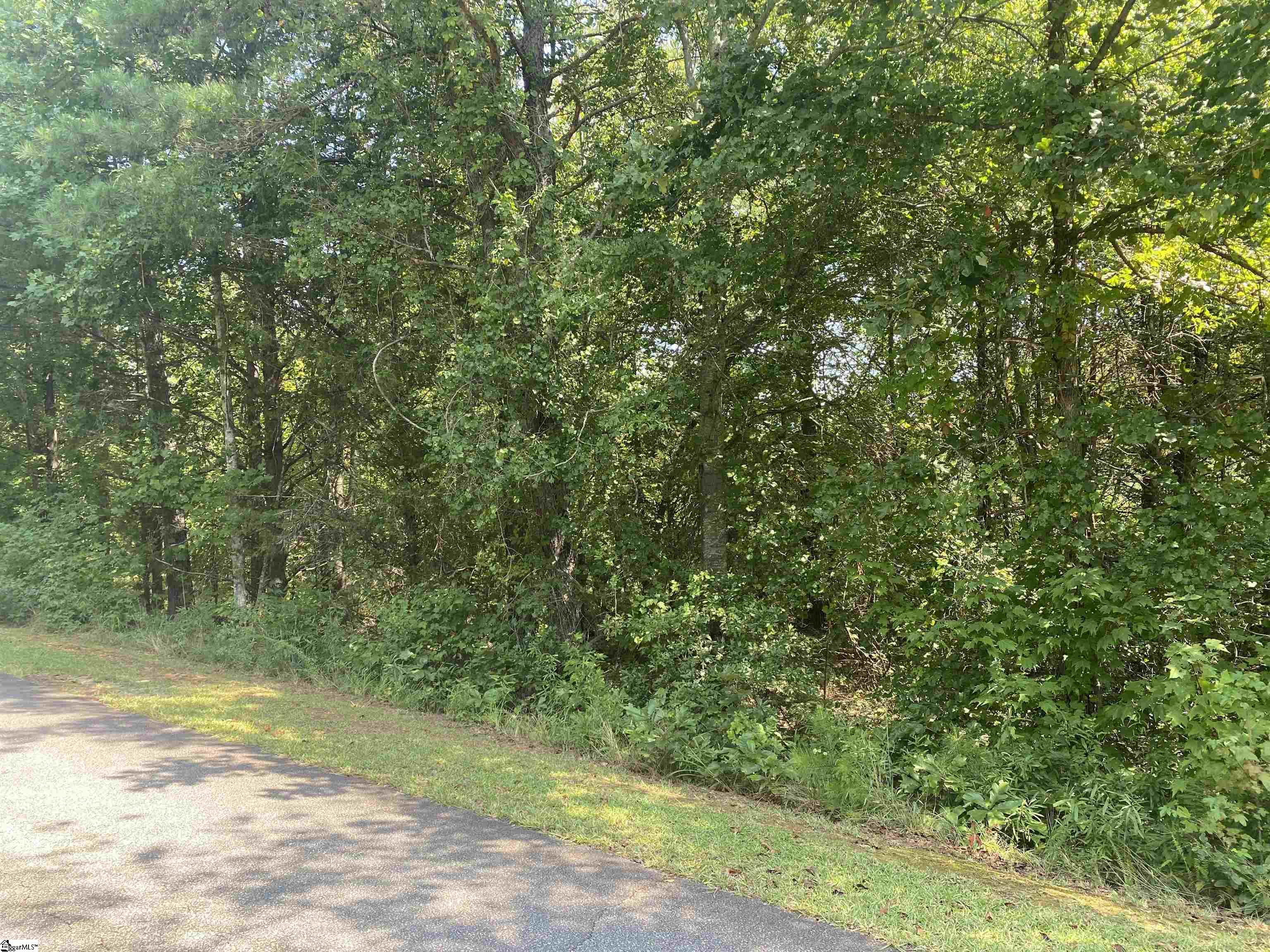 0 Windtree Road Pickens, SC 29671 - Photo 2 of 8