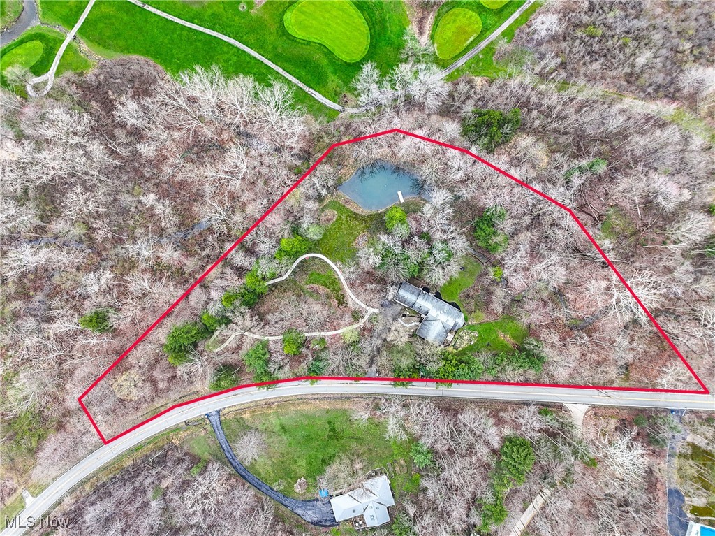 10461 Wye Road Chesterland, OH 44026 - Photo 11 of 50 Birds eye view of property