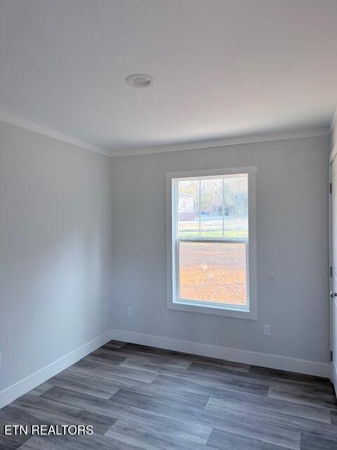 131 Southside Avenue Rutledge, TN 37861 - Photo 22 of 33 Gallery Image 22