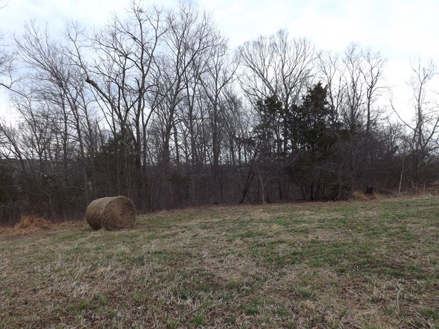 Ac Bartley Road Summer Shade, KY 42166 - Photo 14 of 28 Gallery Image 14