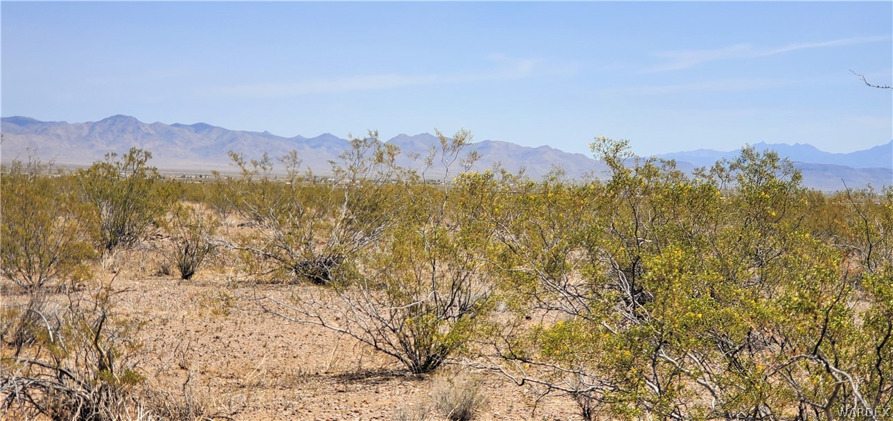 0 North Drake Road Golden Valley, AZ 86413 - Photo 2 of 10 a view of mountain