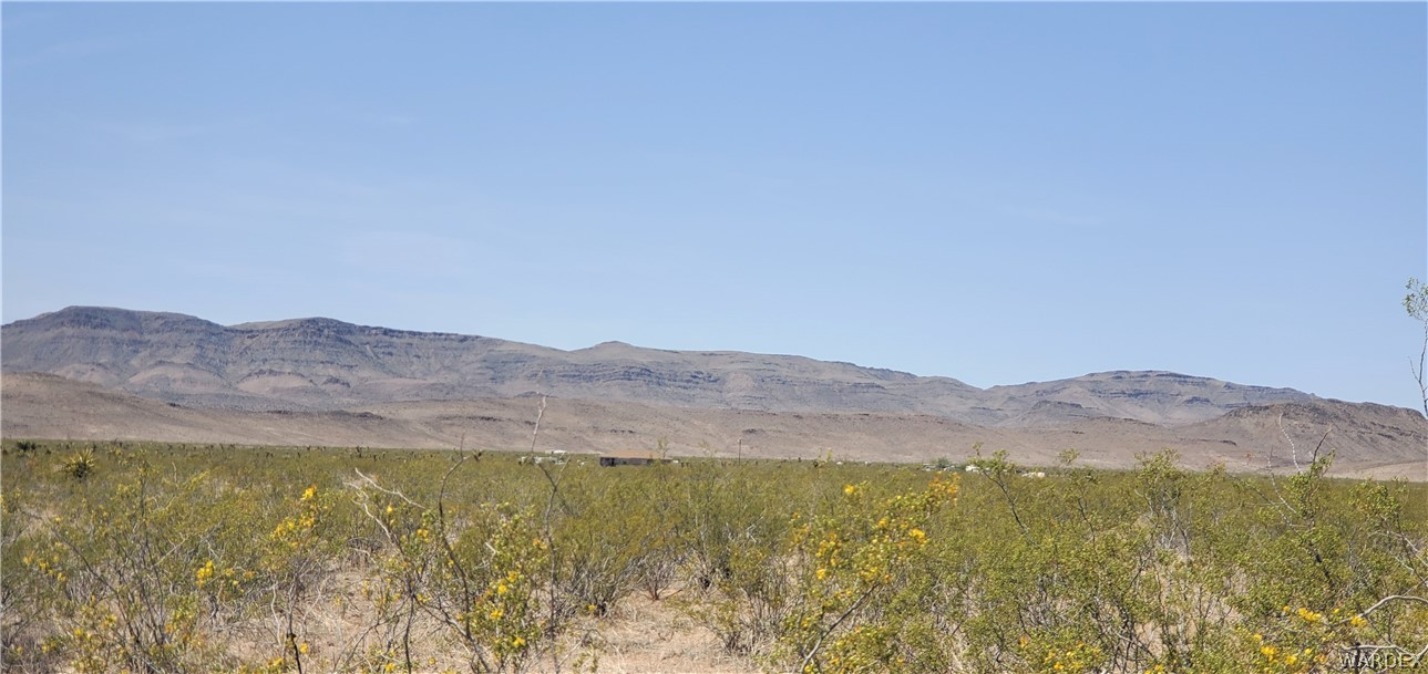 0 North Drake Road Golden Valley, AZ 86413 - Photo 4 of 10