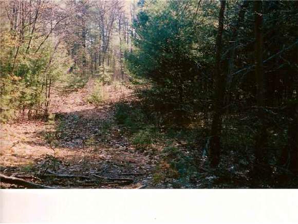 0 Crotched Mtn Road Greenfield, NH 03047 - Photo 1 of 2