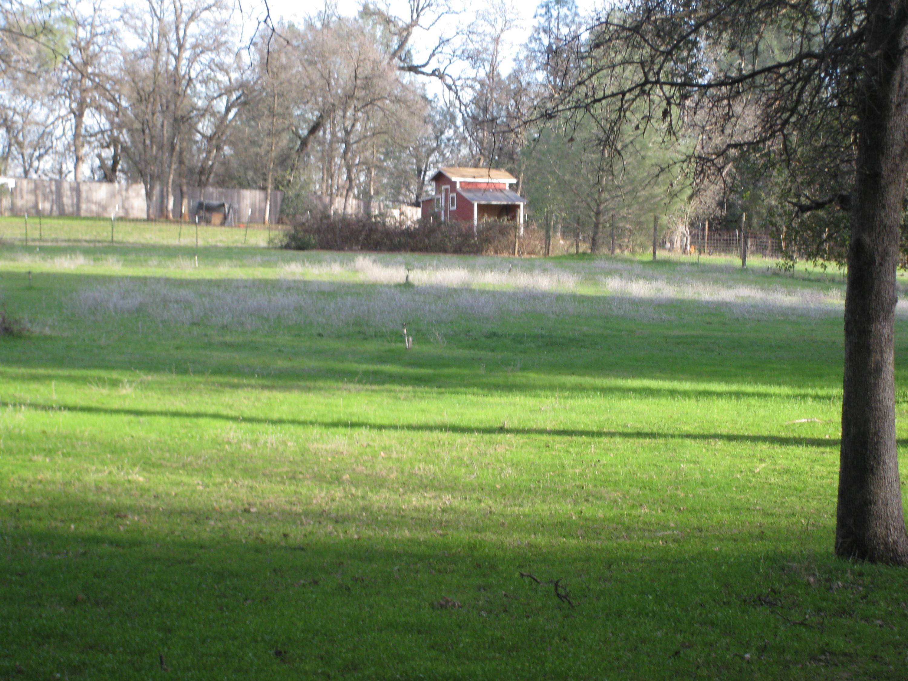 21129 Rae Lane Redding, CA 96003 - Photo 11 of 12 More land 2