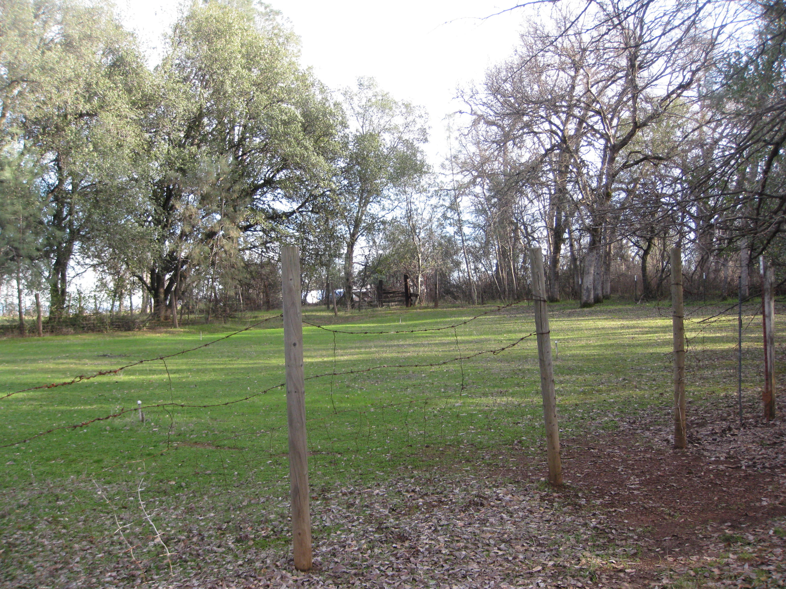 21129 Rae Lane Redding, CA 96003 - Photo 9 of 12 Land with irrigation