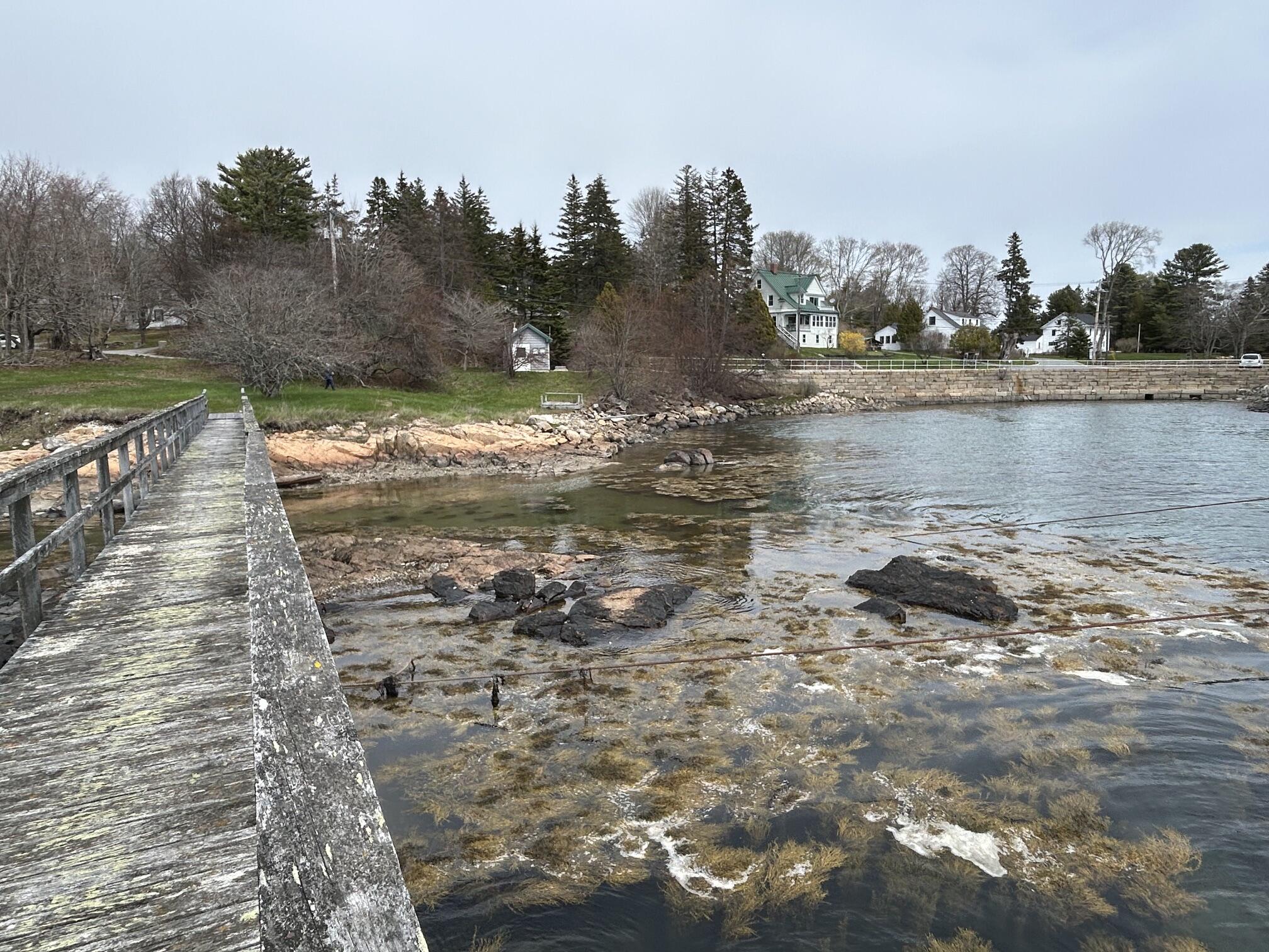 148 Clark Point Road Southwest Harbor, ME 04679 - Photo 9 of 19 IMG_7170