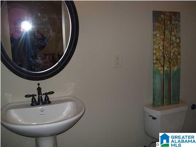 115 Hunter Ridge Lane Pell City, AL 35128 - Photo 29 of 32