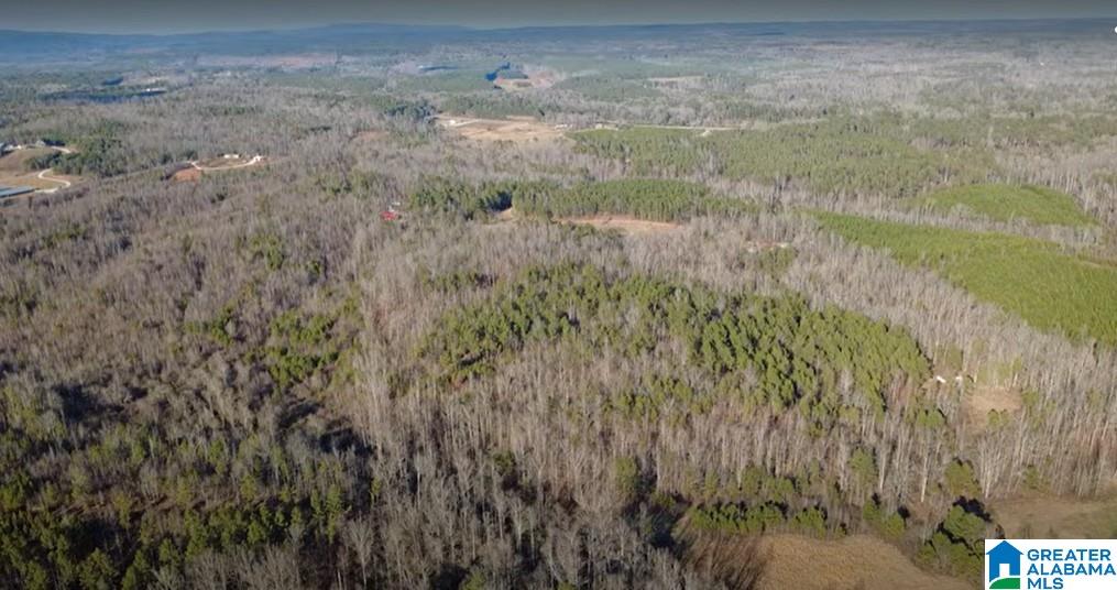 773 County Road 949, Unit 1 Fruithurst, AL 36262 - Photo 9 of 10