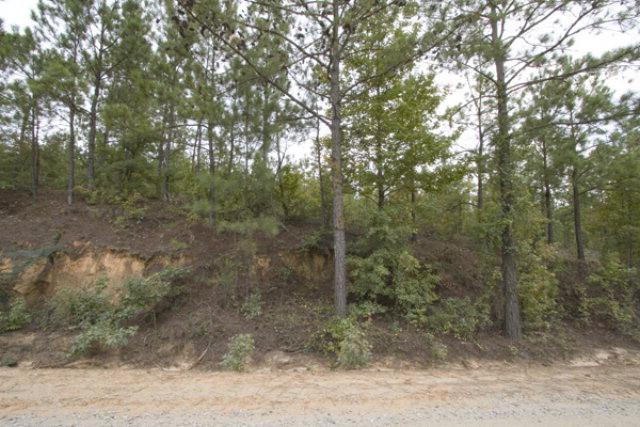 0 Irby Road Gibson, GA 30810 - Photo 1 of 1 Main View