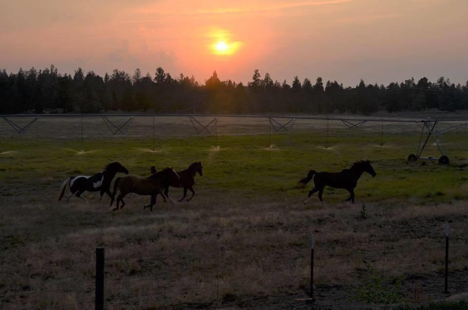63575 Cricketwood Road Bend, OR 97701 - Photo 53 of 53 50