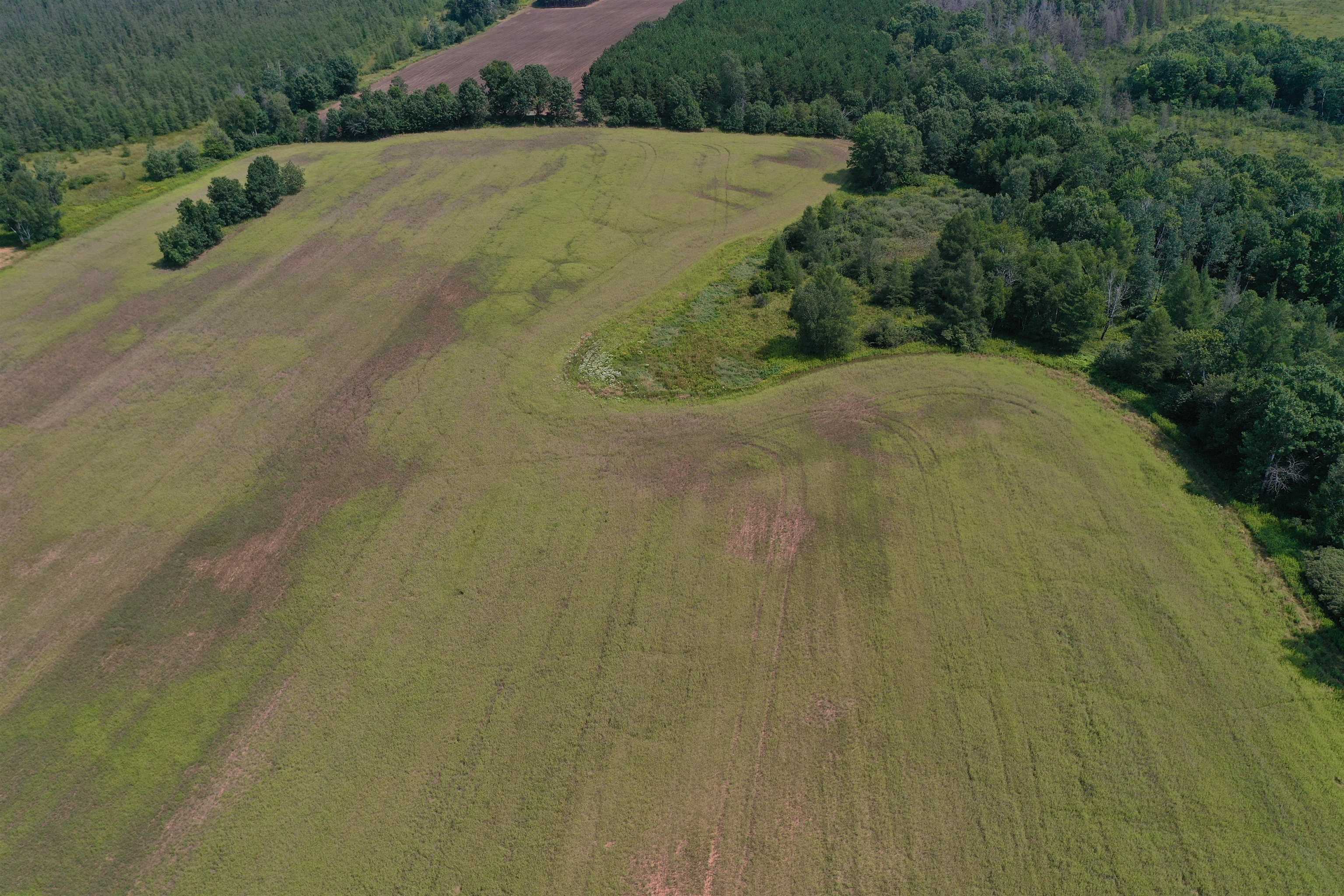 W968 Dover Road Neshkoro, WI 54960 - Photo 5 of 29 Gallery Image 5