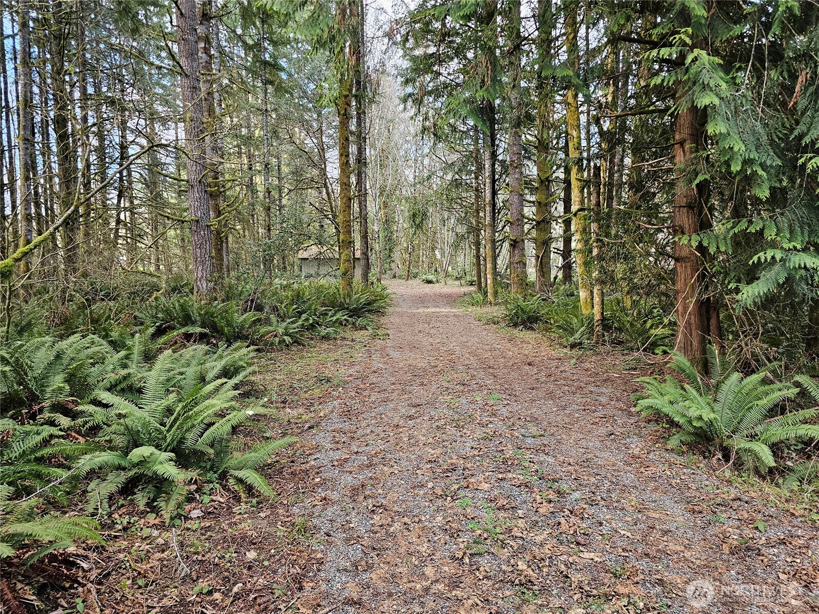 3017 Graf Road Centralia, WA 98531 - Photo 28 of 39 Gallery Image 28