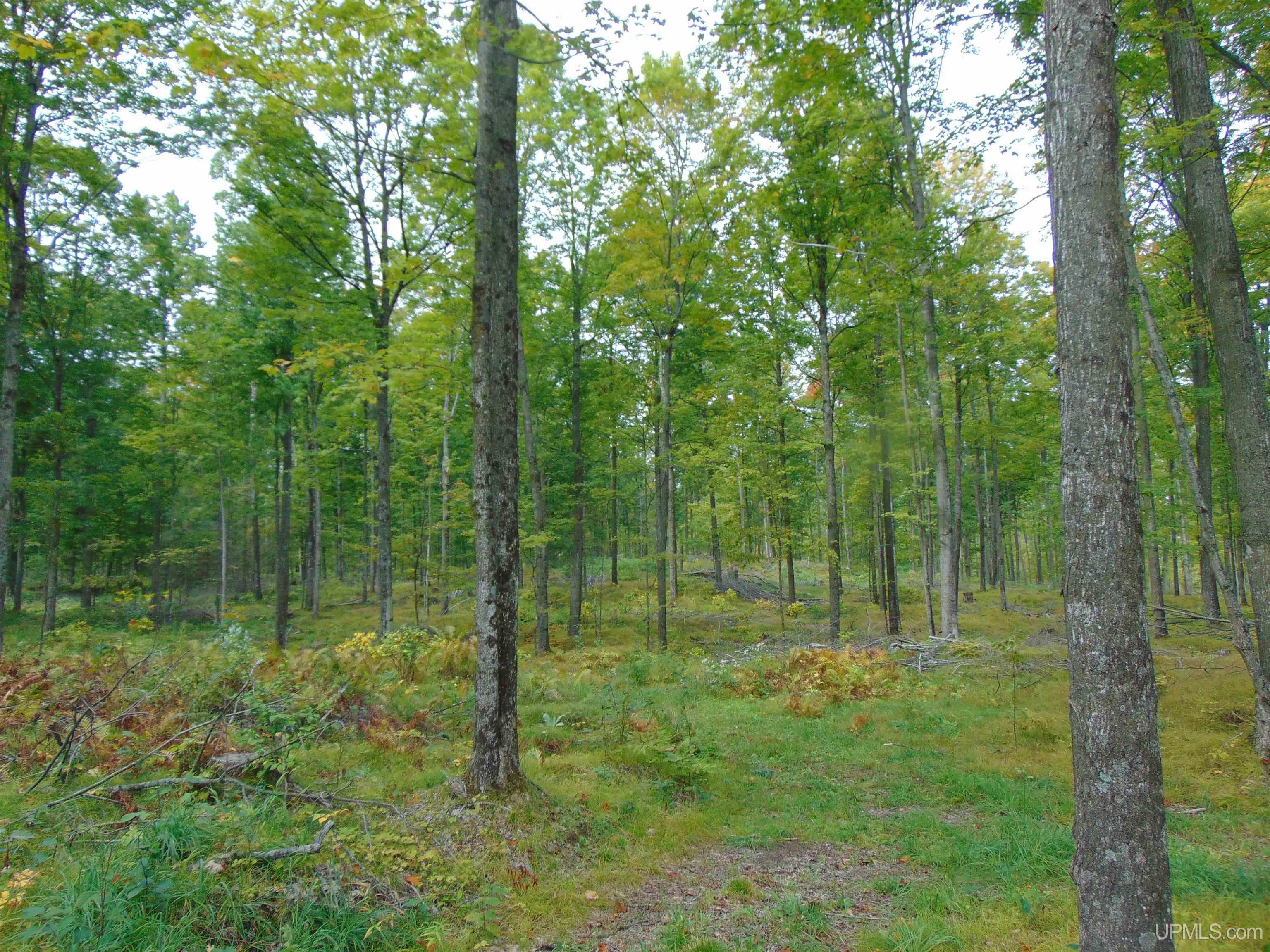 2792 County Line Road Vulcan, MI 49892 - Photo 91 of 99