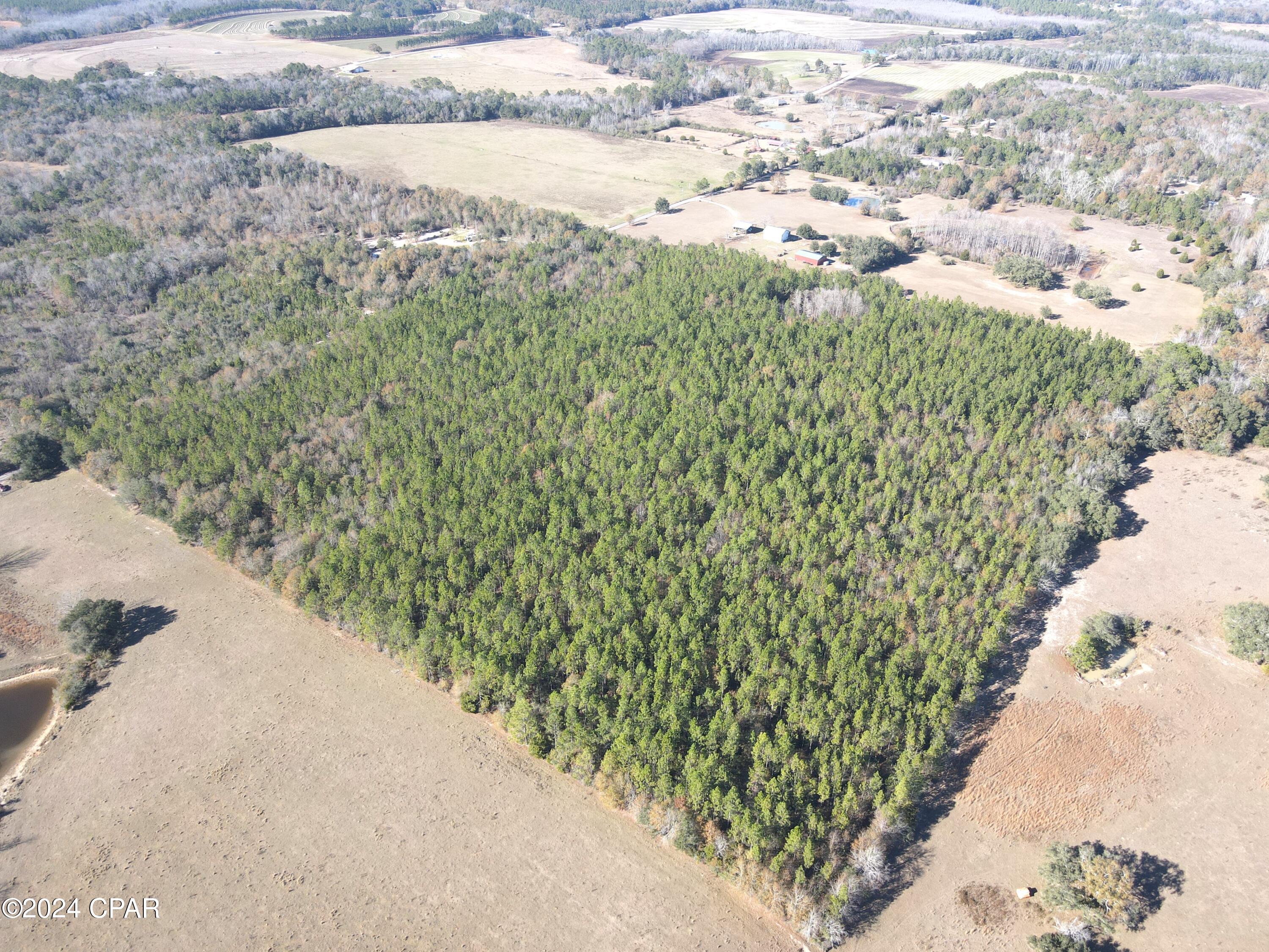 0 Schofield Road DeFuniak Springs, FL 32433 - Photo 14 of 34