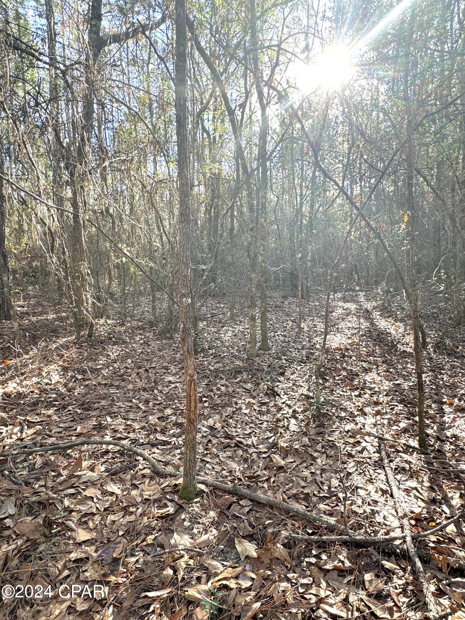 0 Schofield Road DeFuniak Springs, FL 32433 - Photo 16 of 34