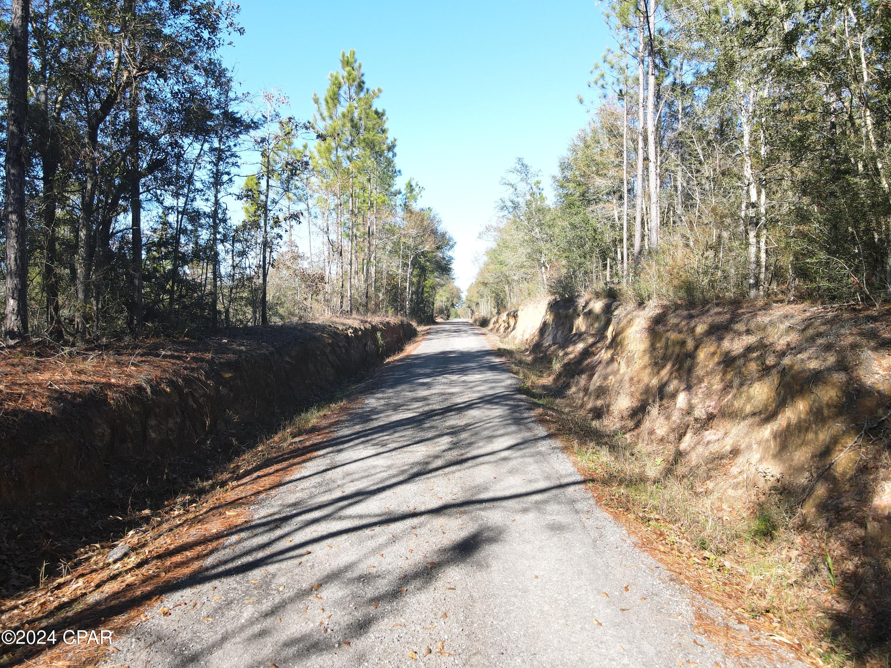0 Schofield Road DeFuniak Springs, FL 32433 - Photo 17 of 34