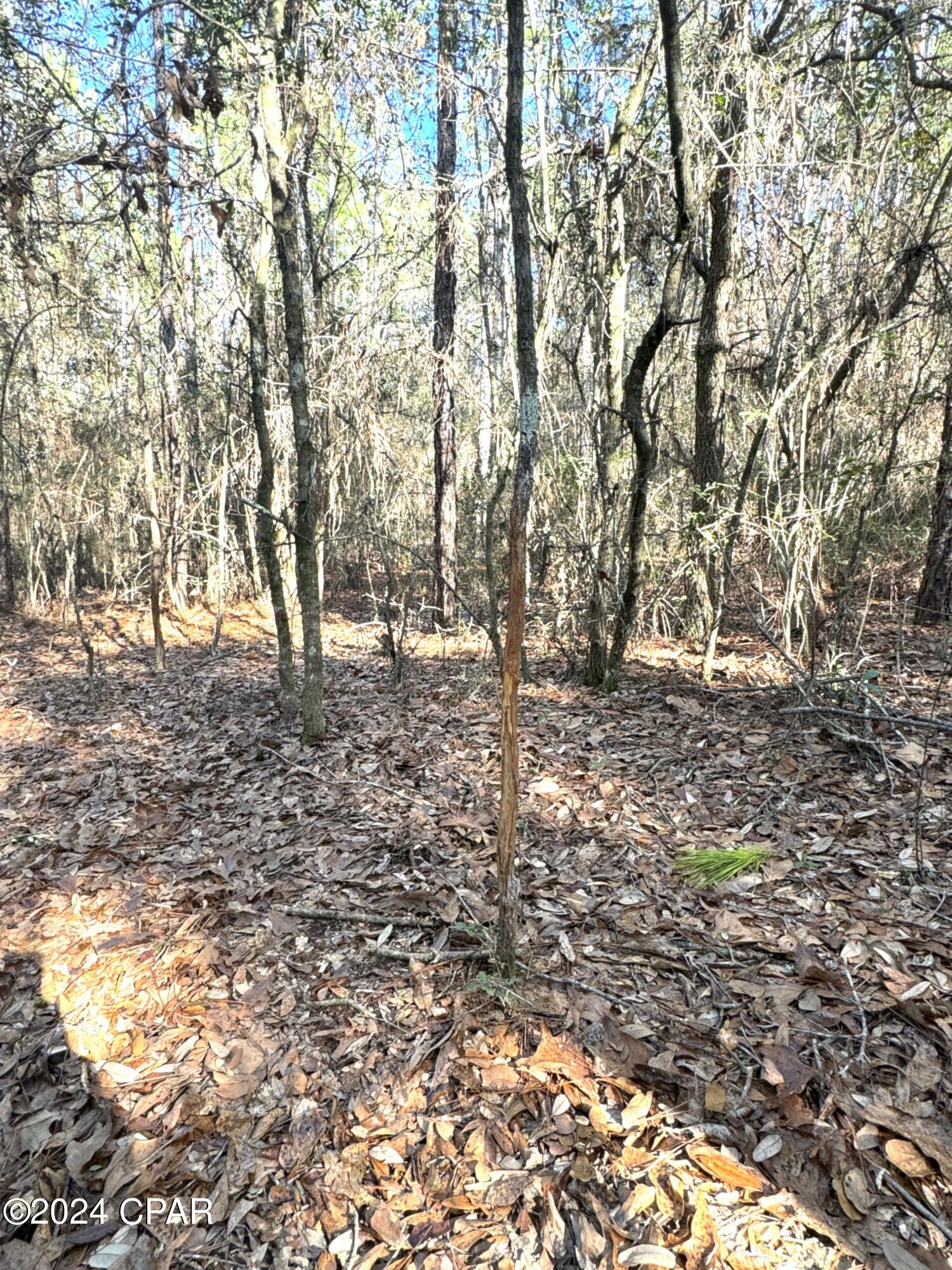 0 Schofield Road DeFuniak Springs, FL 32433 - Photo 18 of 34