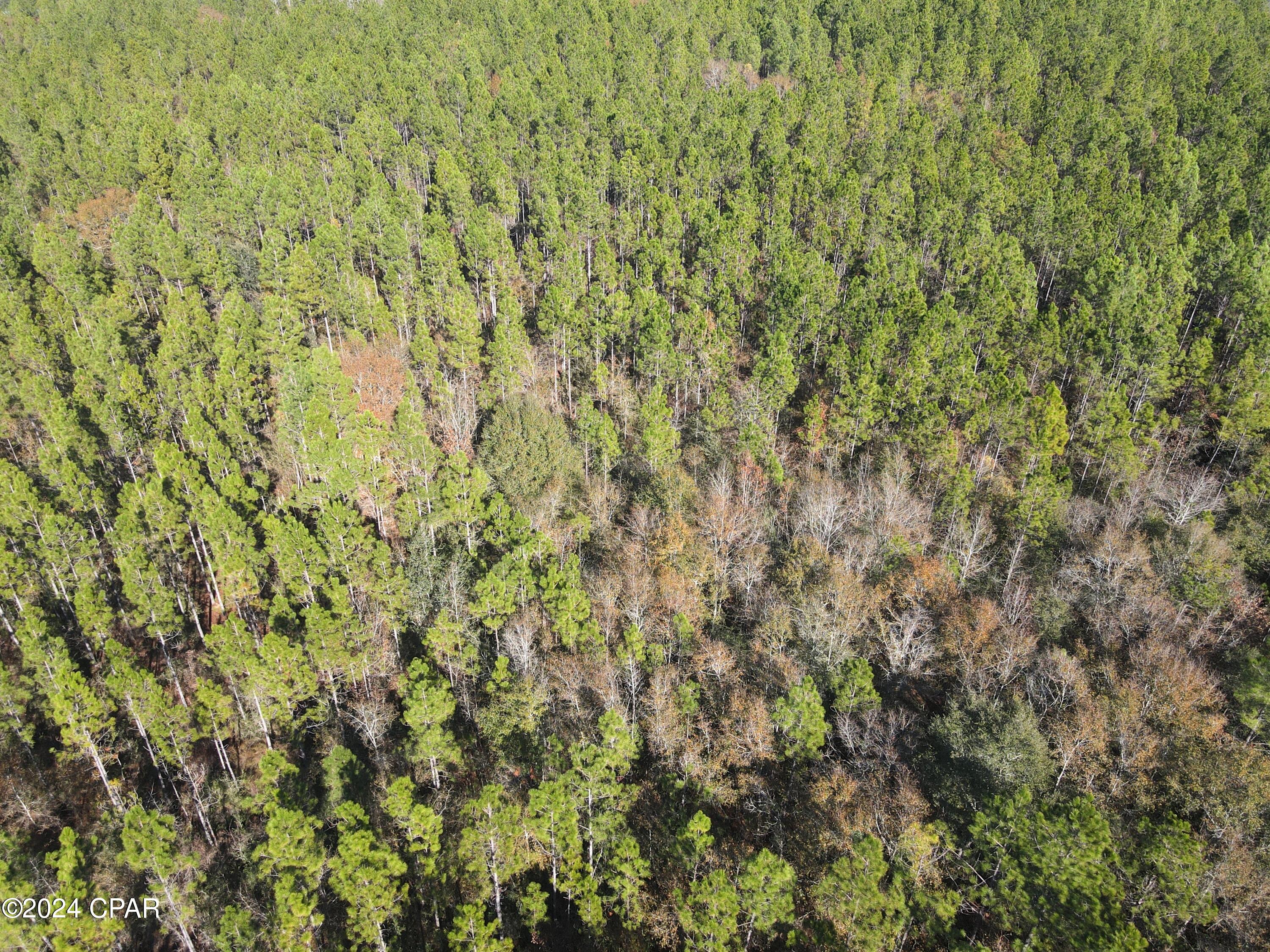 0 Schofield Road DeFuniak Springs, FL 32433 - Photo 19 of 34