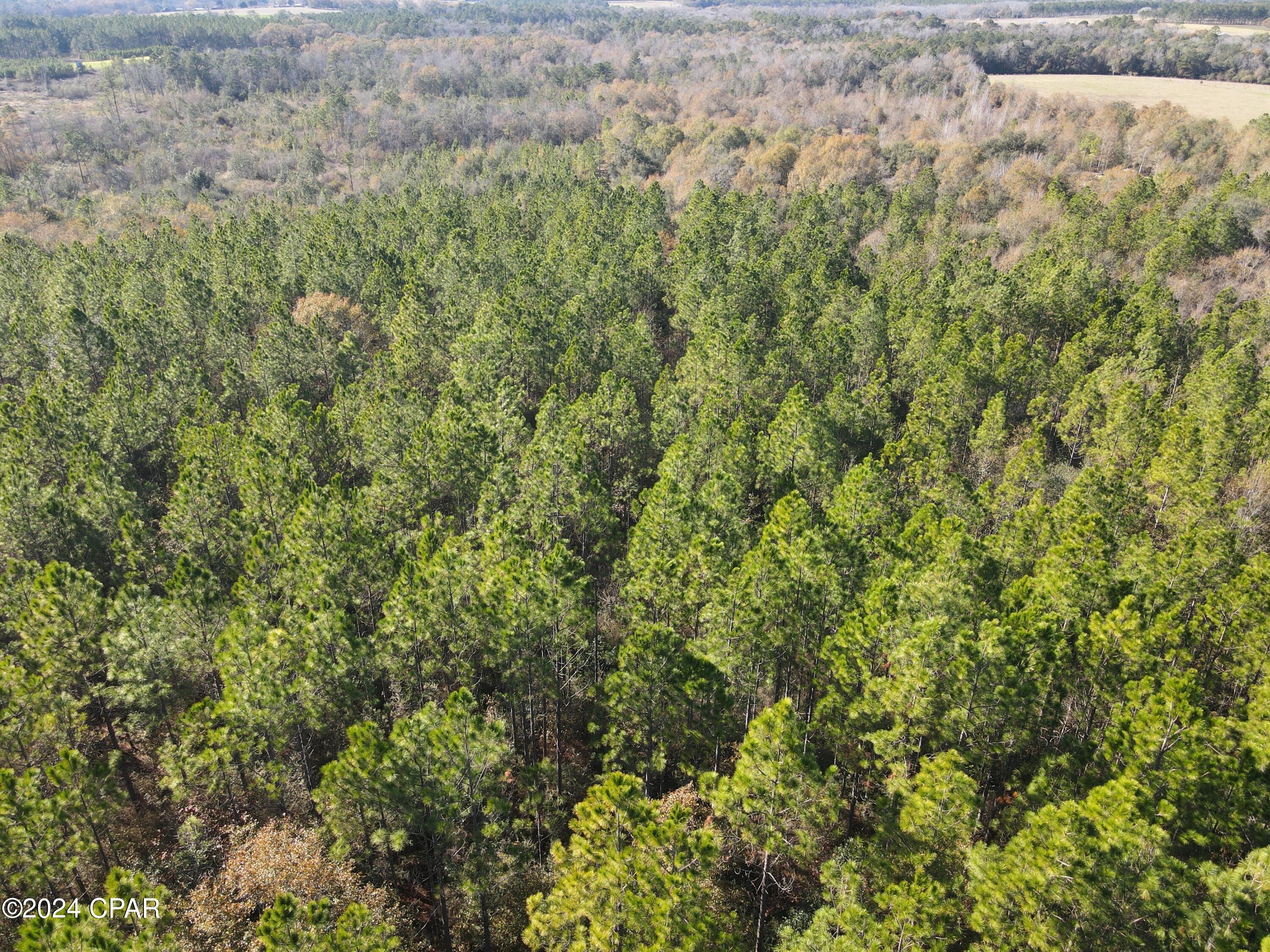 0 Schofield Road DeFuniak Springs, FL 32433 - Photo 23 of 34