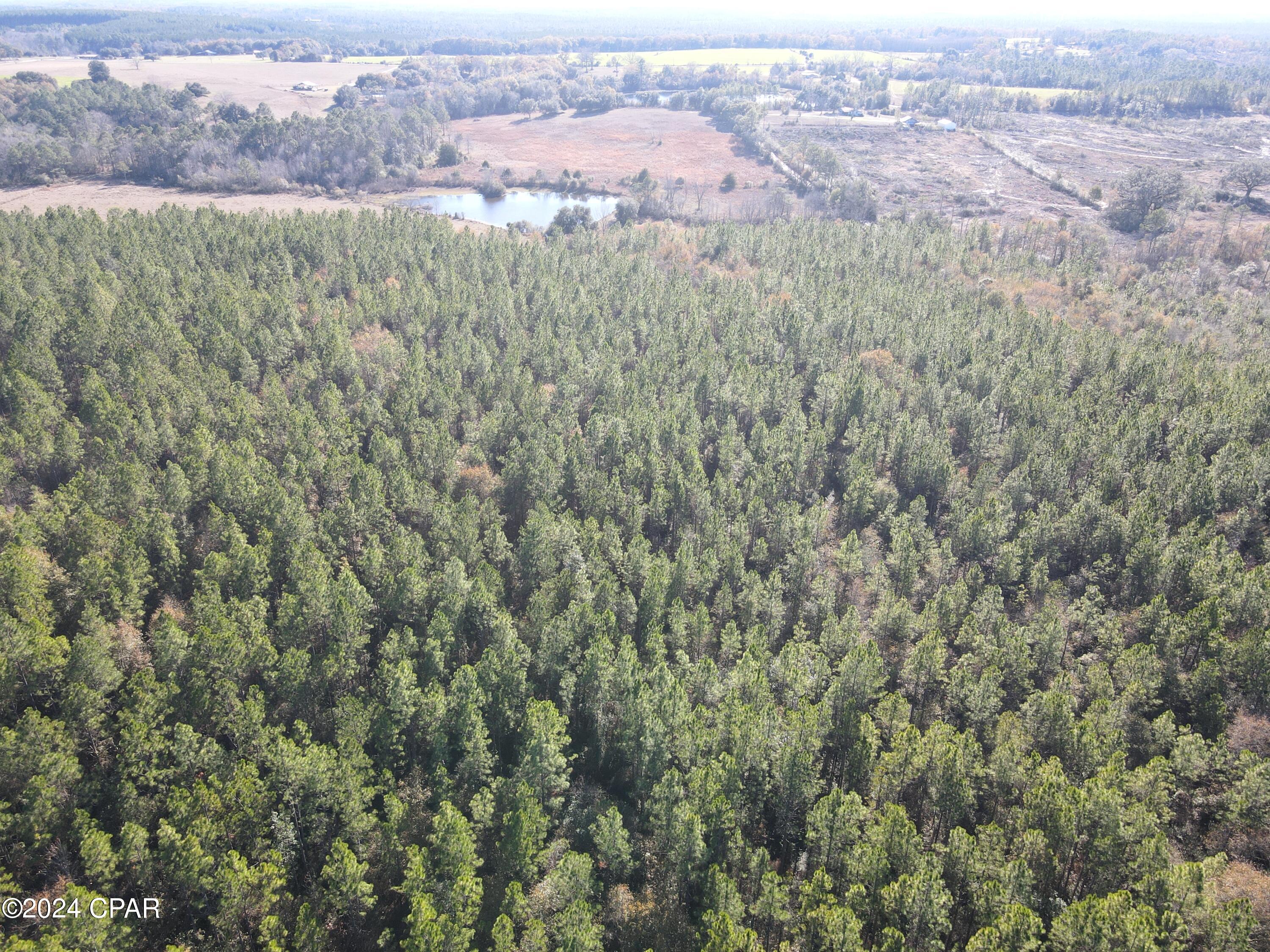 0 Schofield Road DeFuniak Springs, FL 32433 - Photo 24 of 34