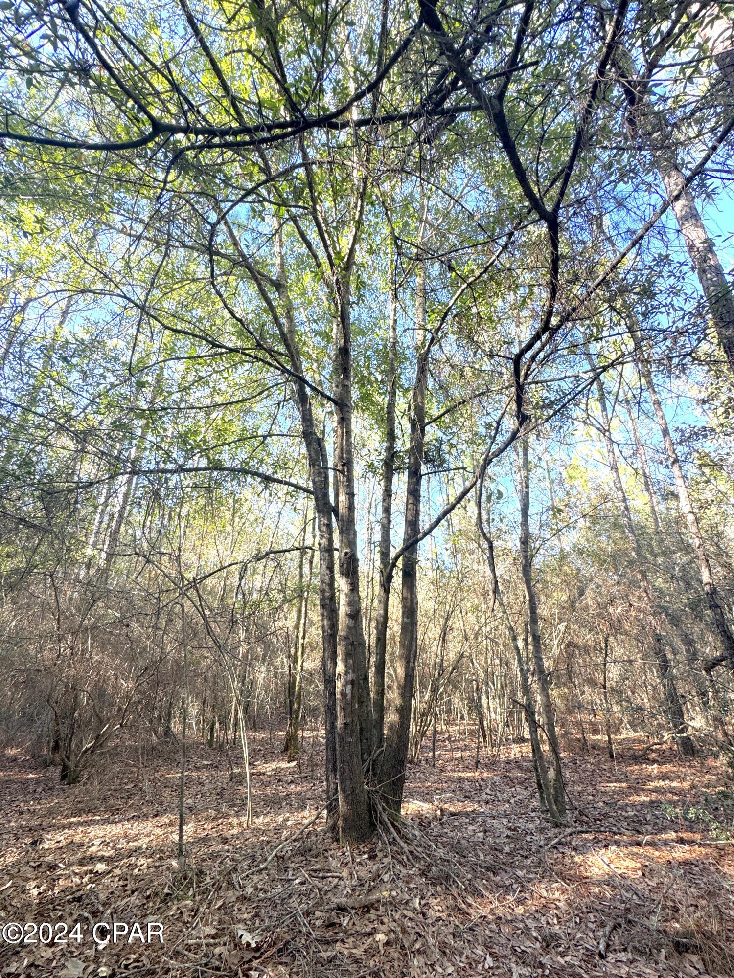 0 Schofield Road DeFuniak Springs, FL 32433 - Photo 25 of 34