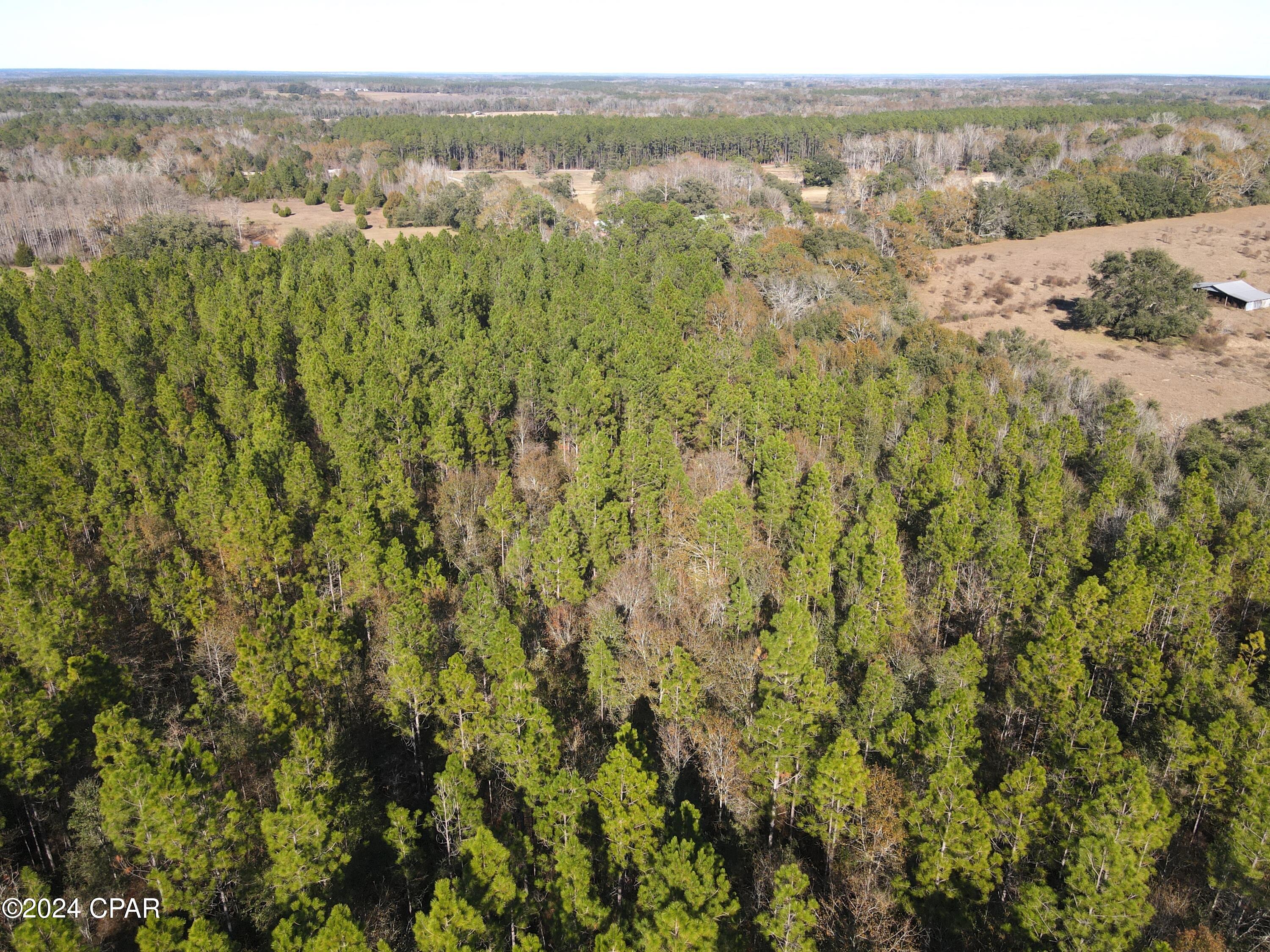 0 Schofield Road DeFuniak Springs, FL 32433 - Photo 27 of 34