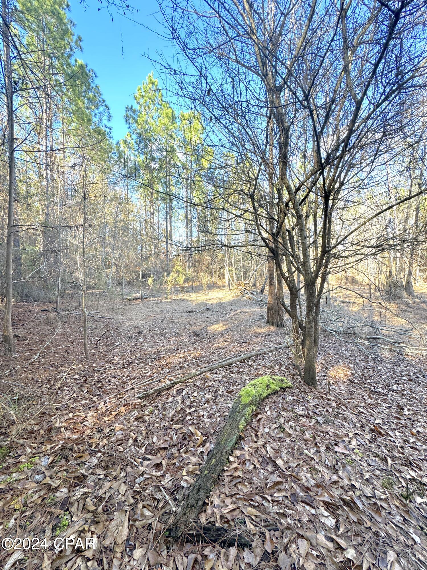 0 Schofield Road DeFuniak Springs, FL 32433 - Photo 31 of 34