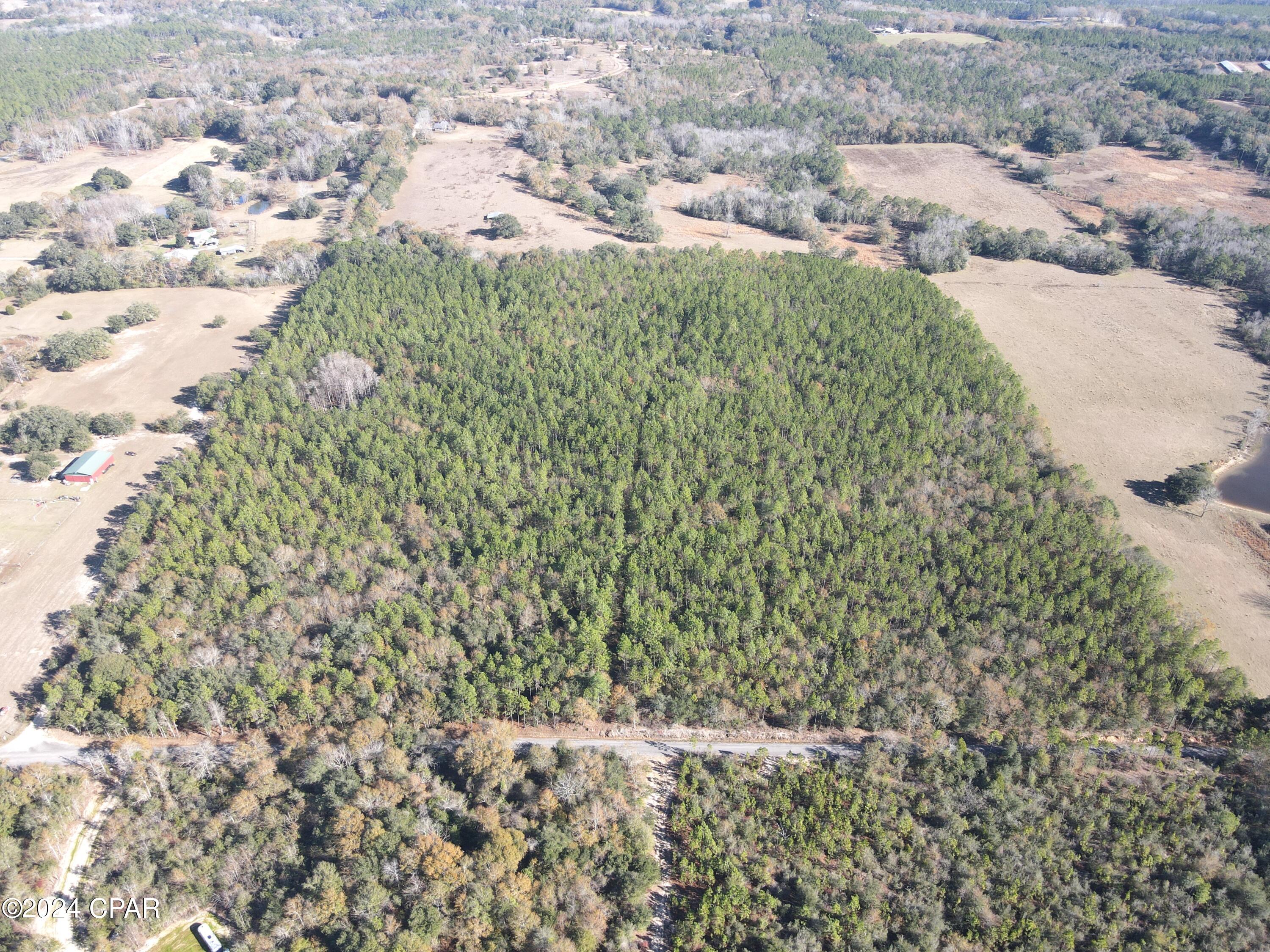 0 Schofield Road DeFuniak Springs, FL 32433 - Photo 4 of 34