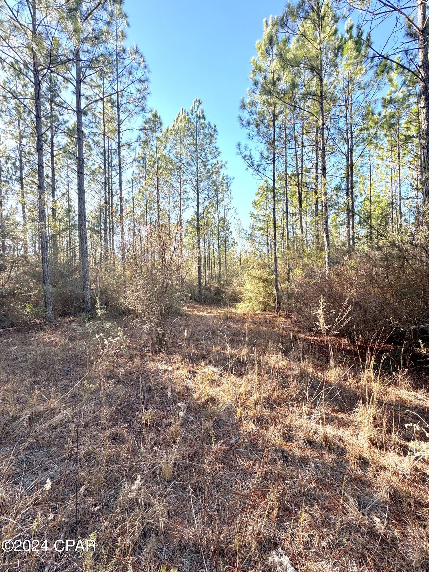 0 Schofield Road DeFuniak Springs, FL 32433 - Photo 8 of 34