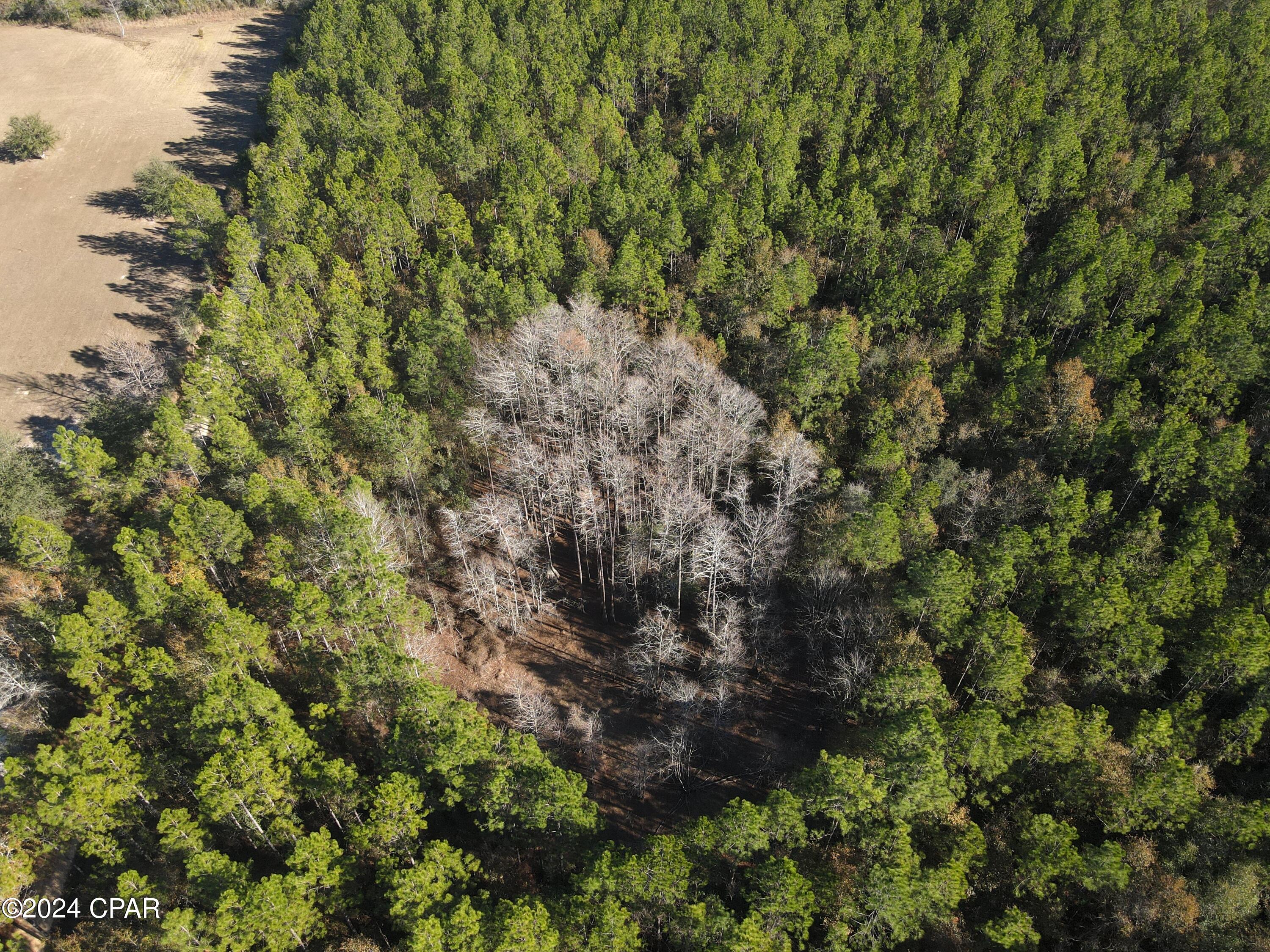 0 Schofield Road DeFuniak Springs, FL 32433 - Photo 9 of 34